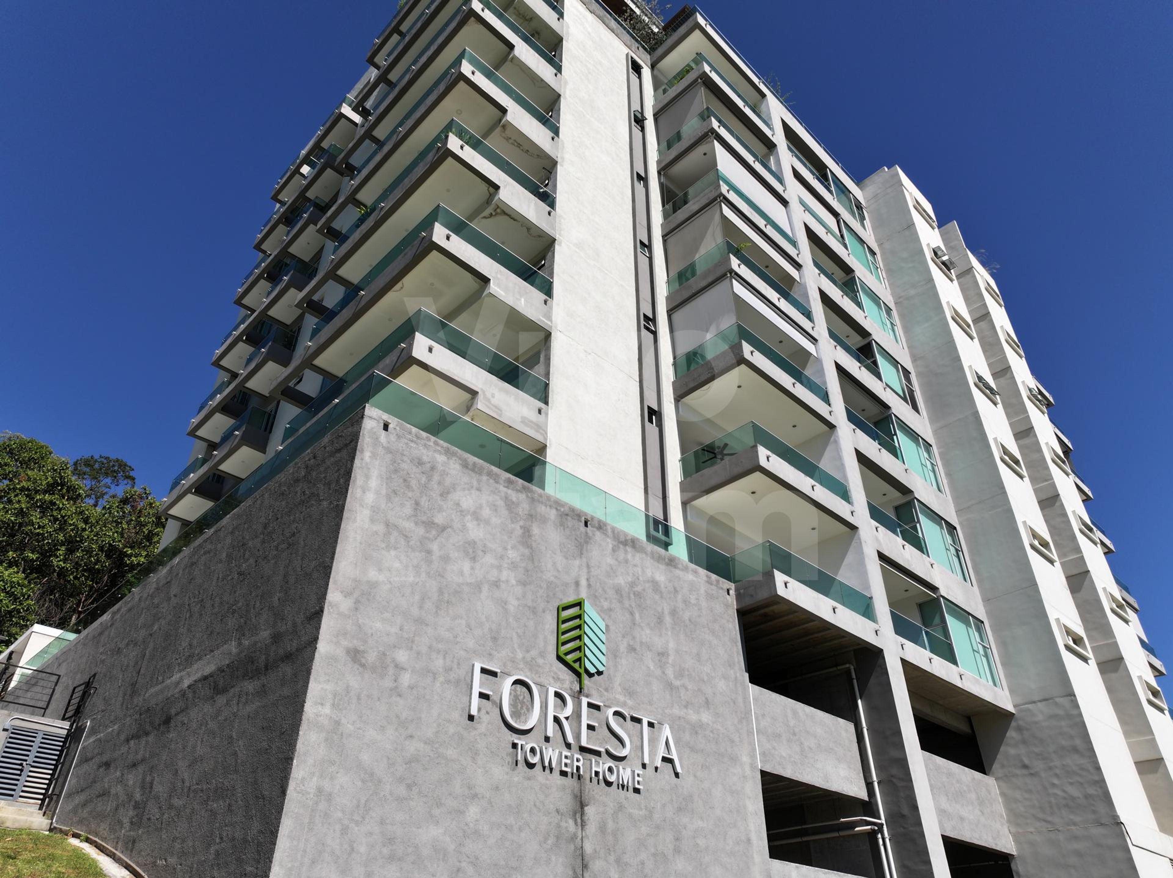 Torre Foresta