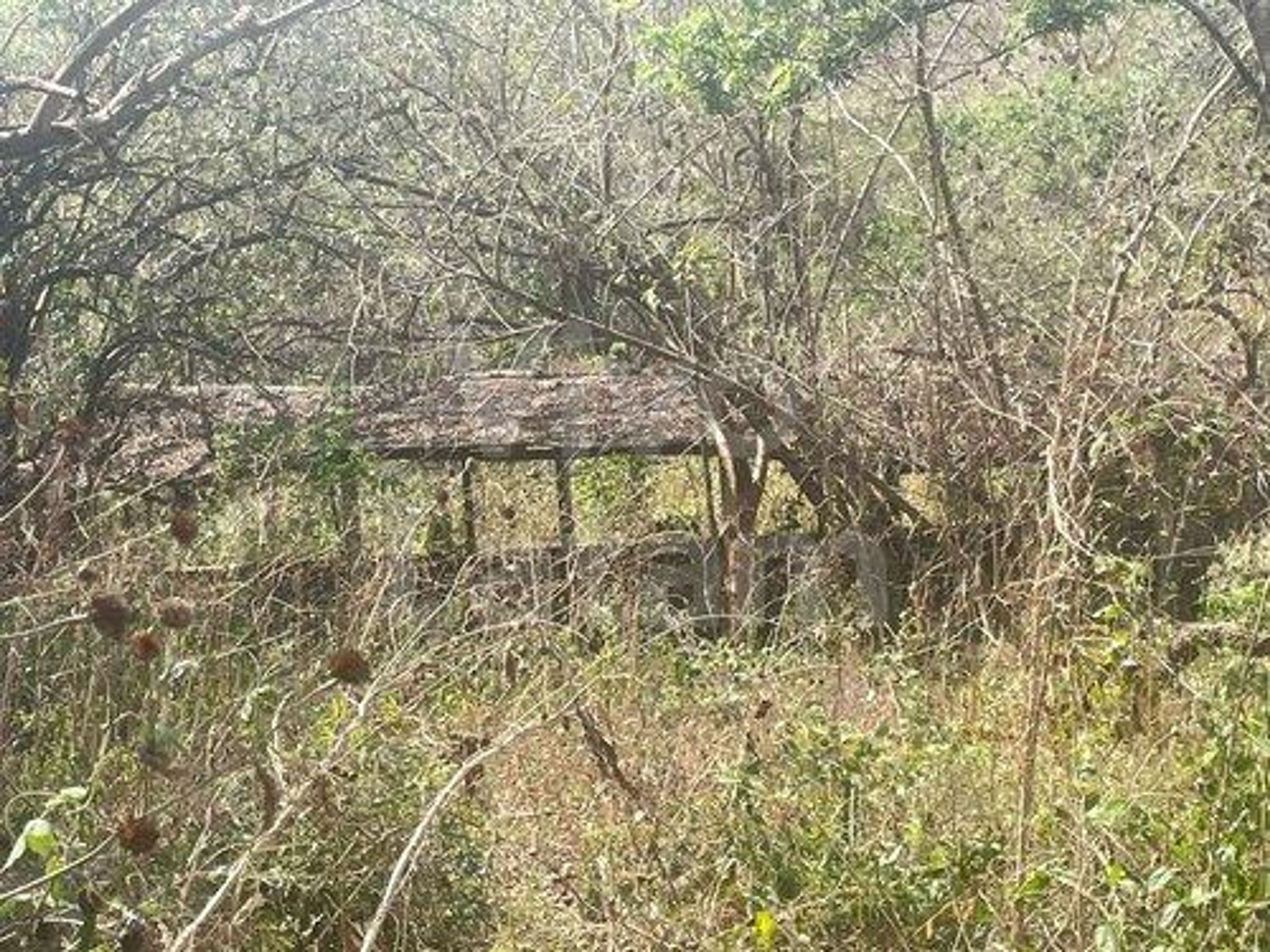 Terreno en venta en Chalchuapa