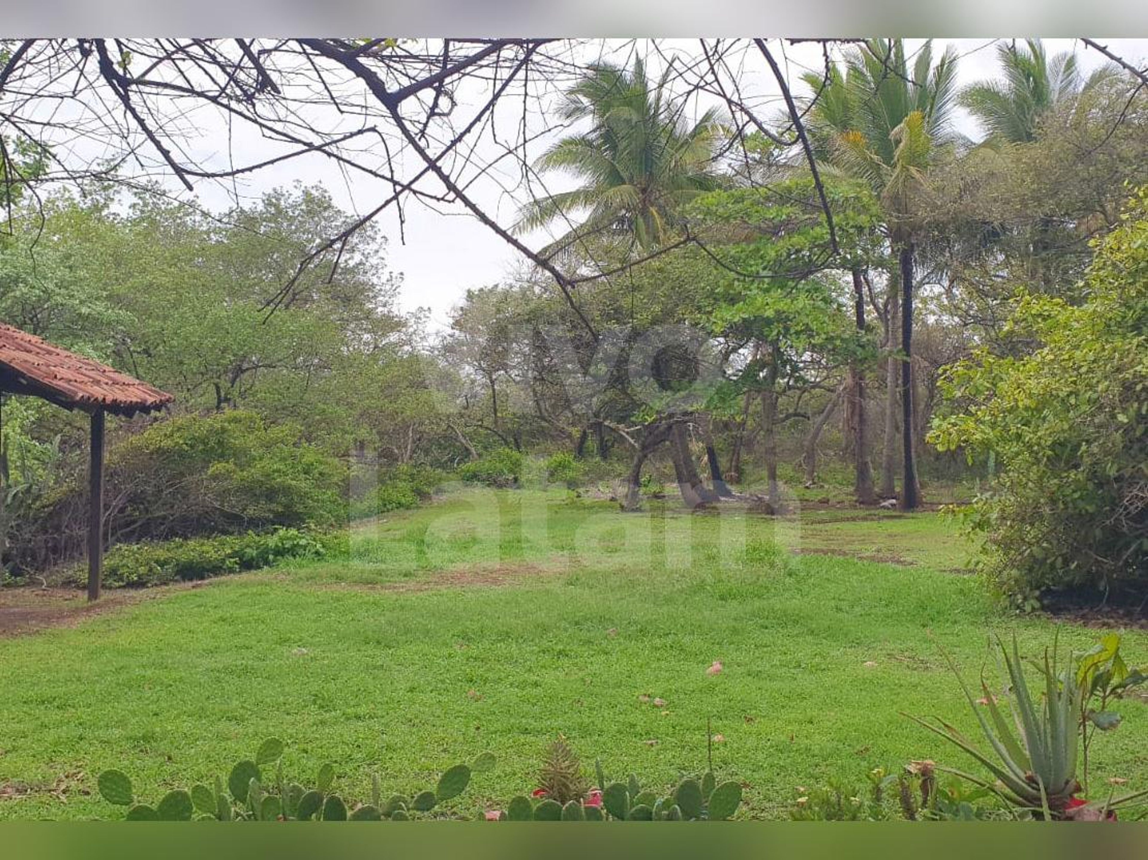 Lot for sale in Mizata Beach