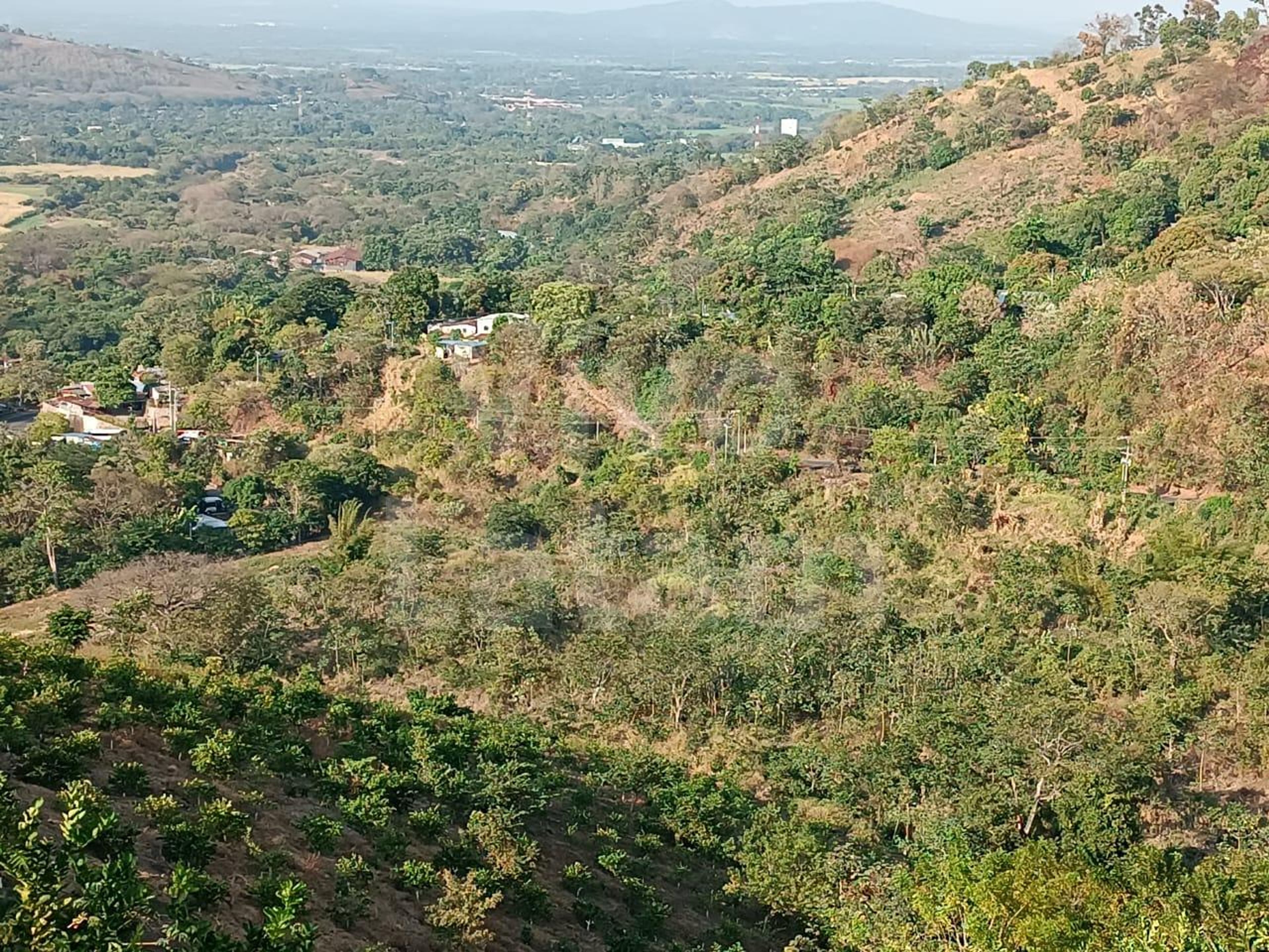Terreno en venta en Jayaque