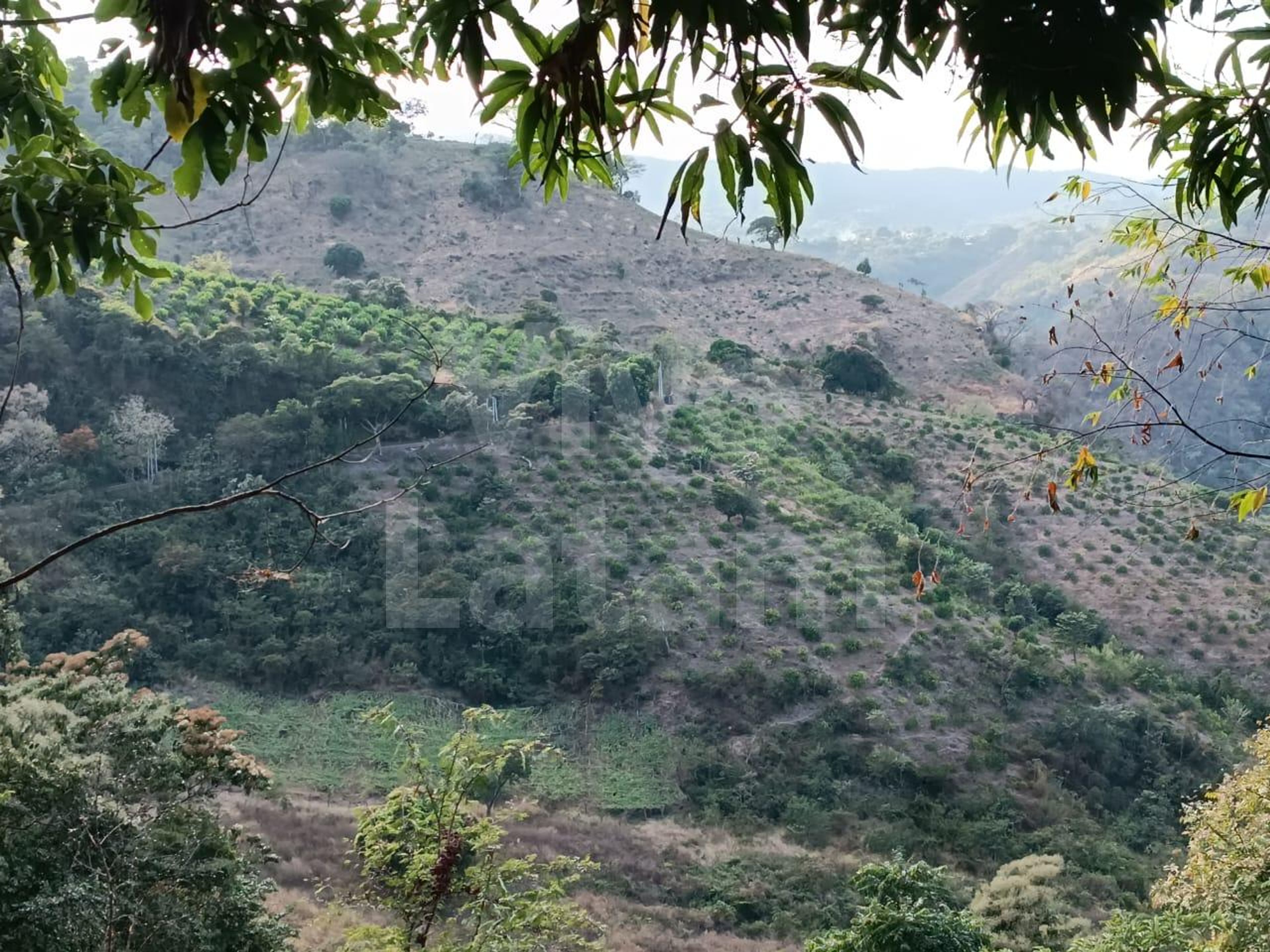 Terreno en venta en Jayaque