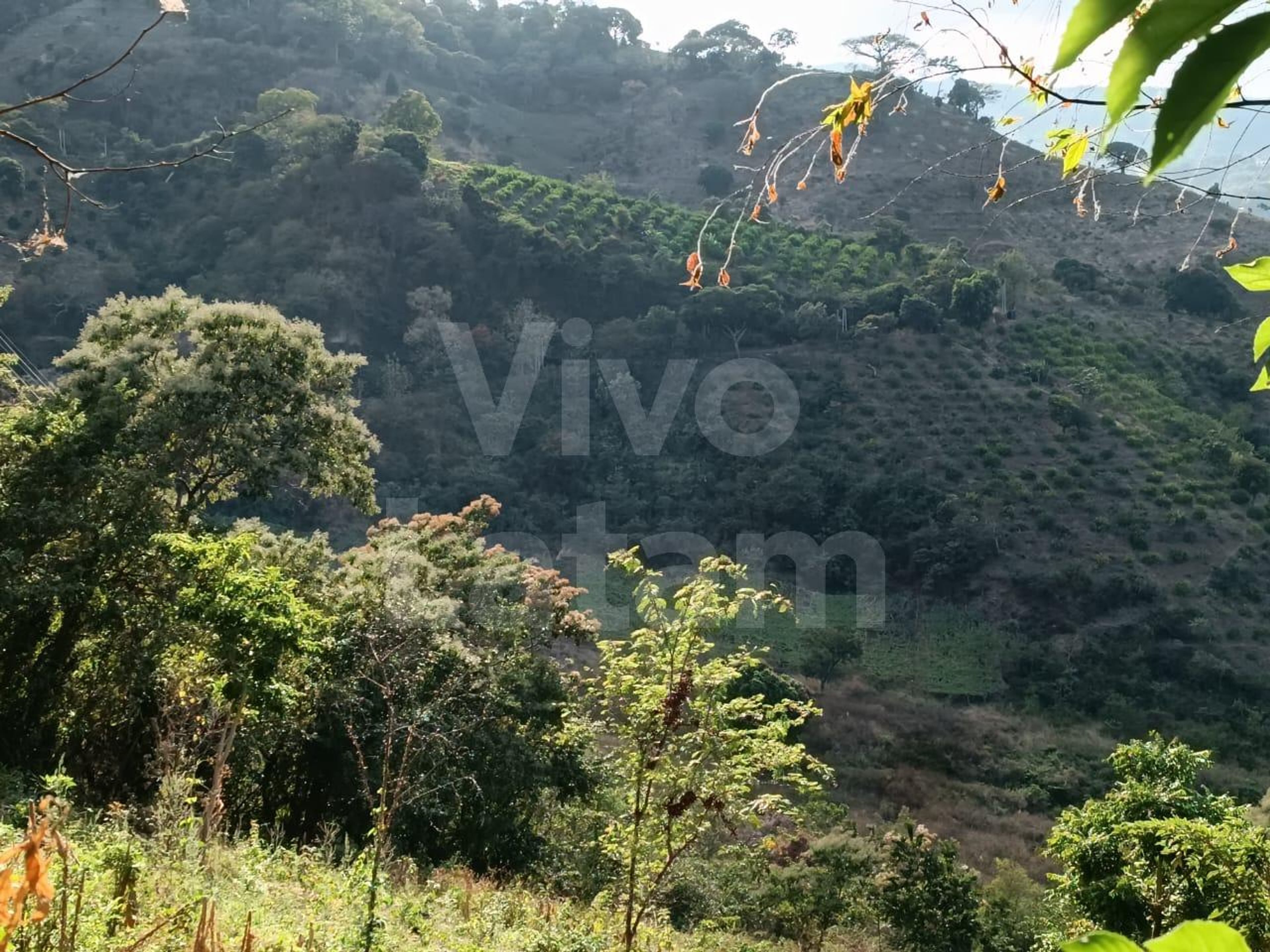 Terreno en venta en Jayaque