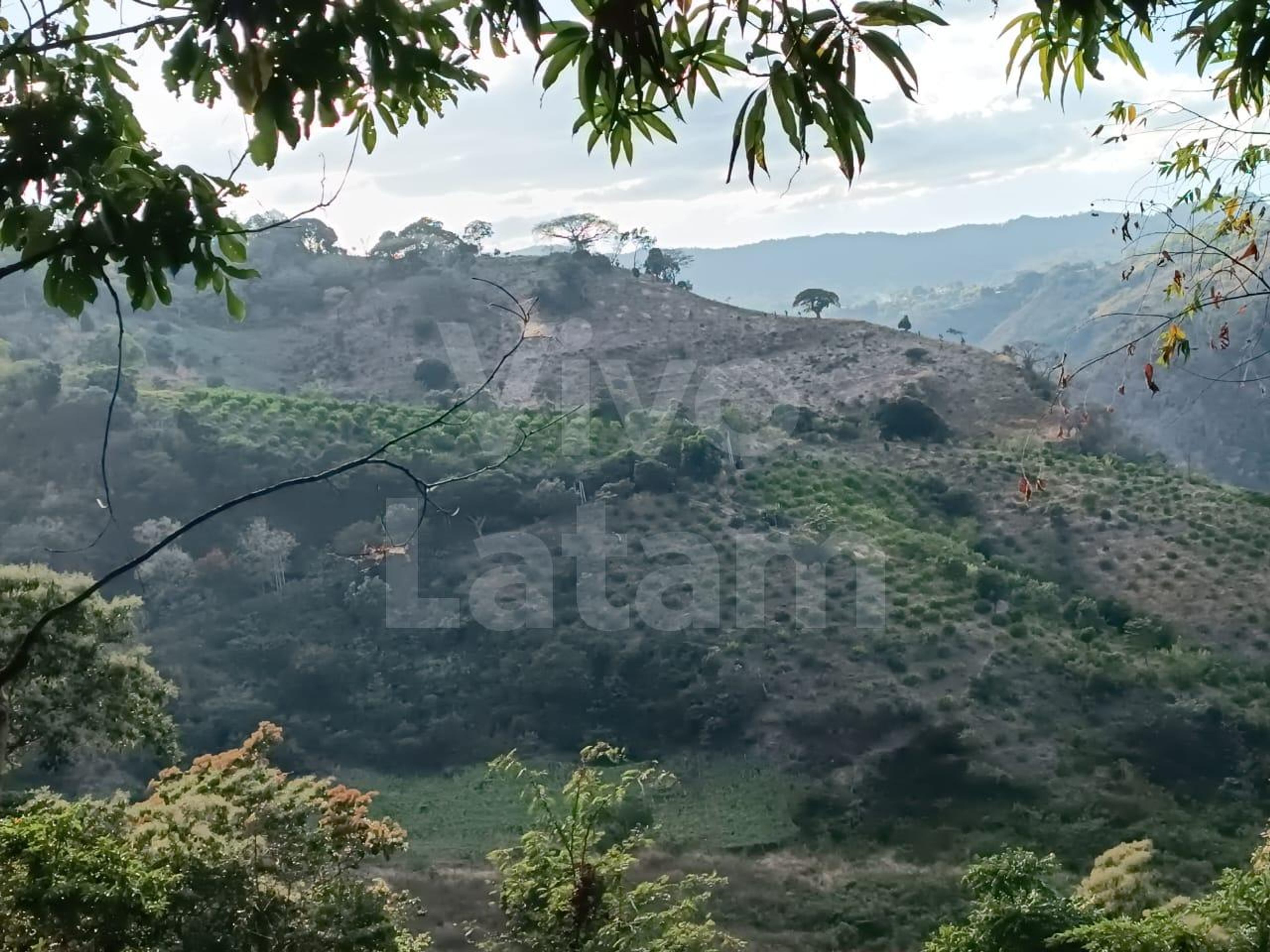 Terreno en venta en Jayaque