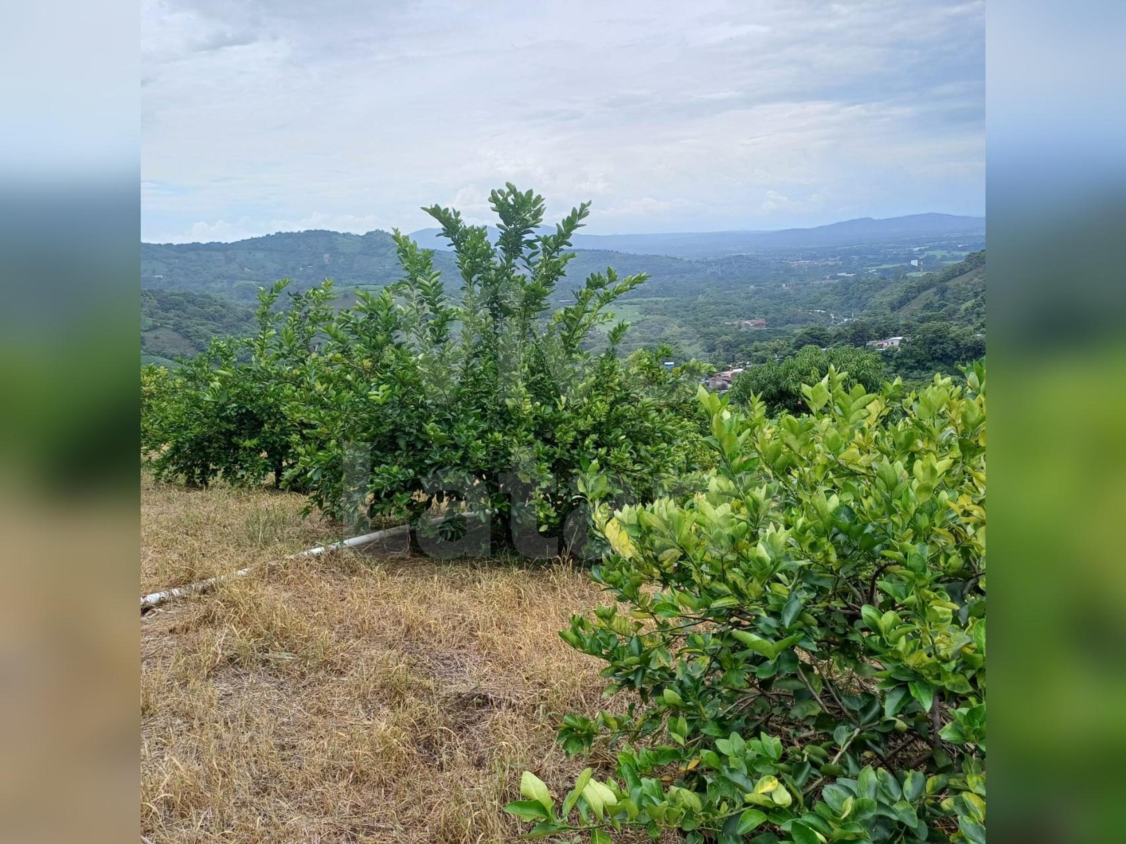 Terreno en venta en Jayaque