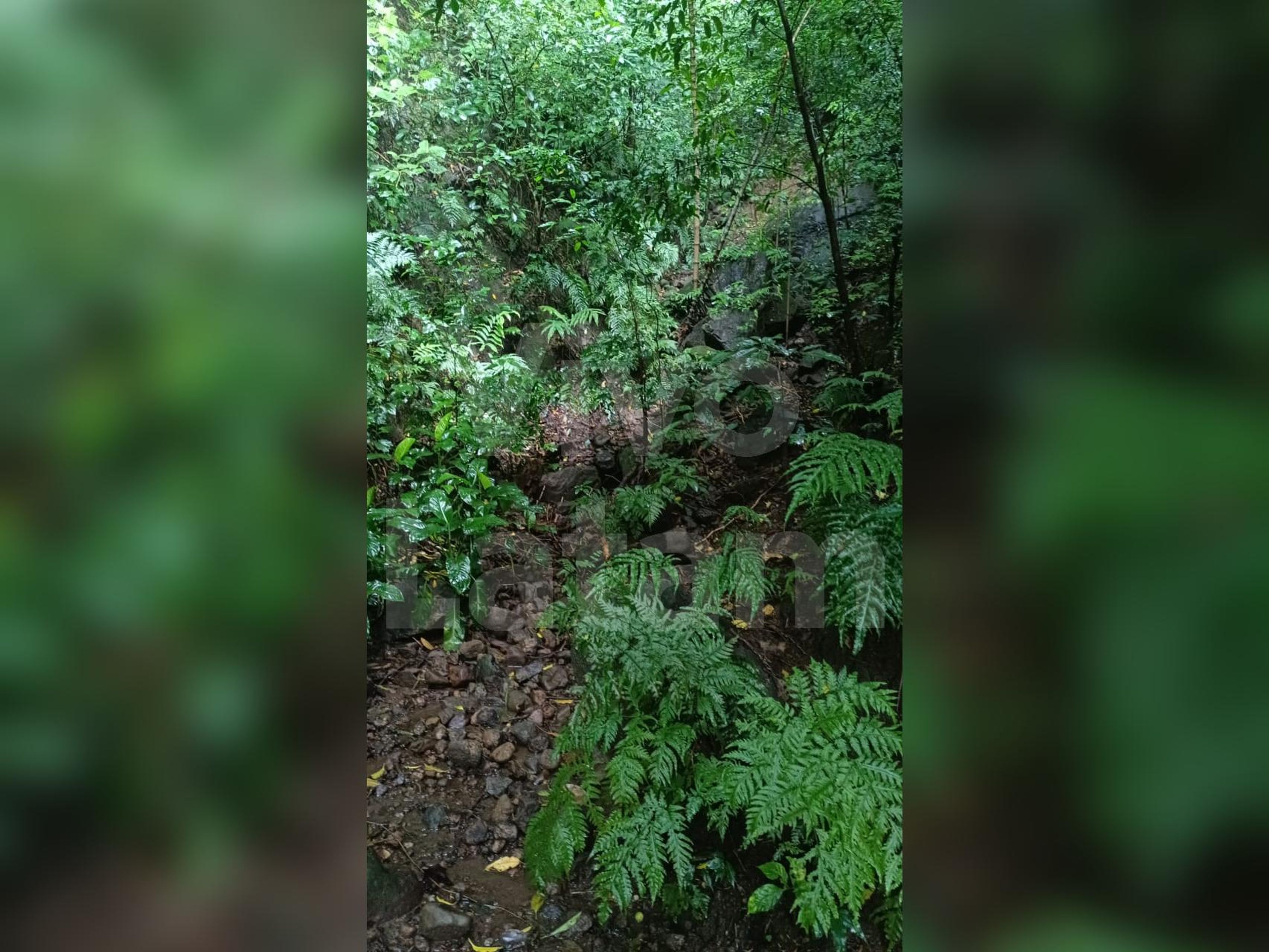 Terreno en venta en Jayaque