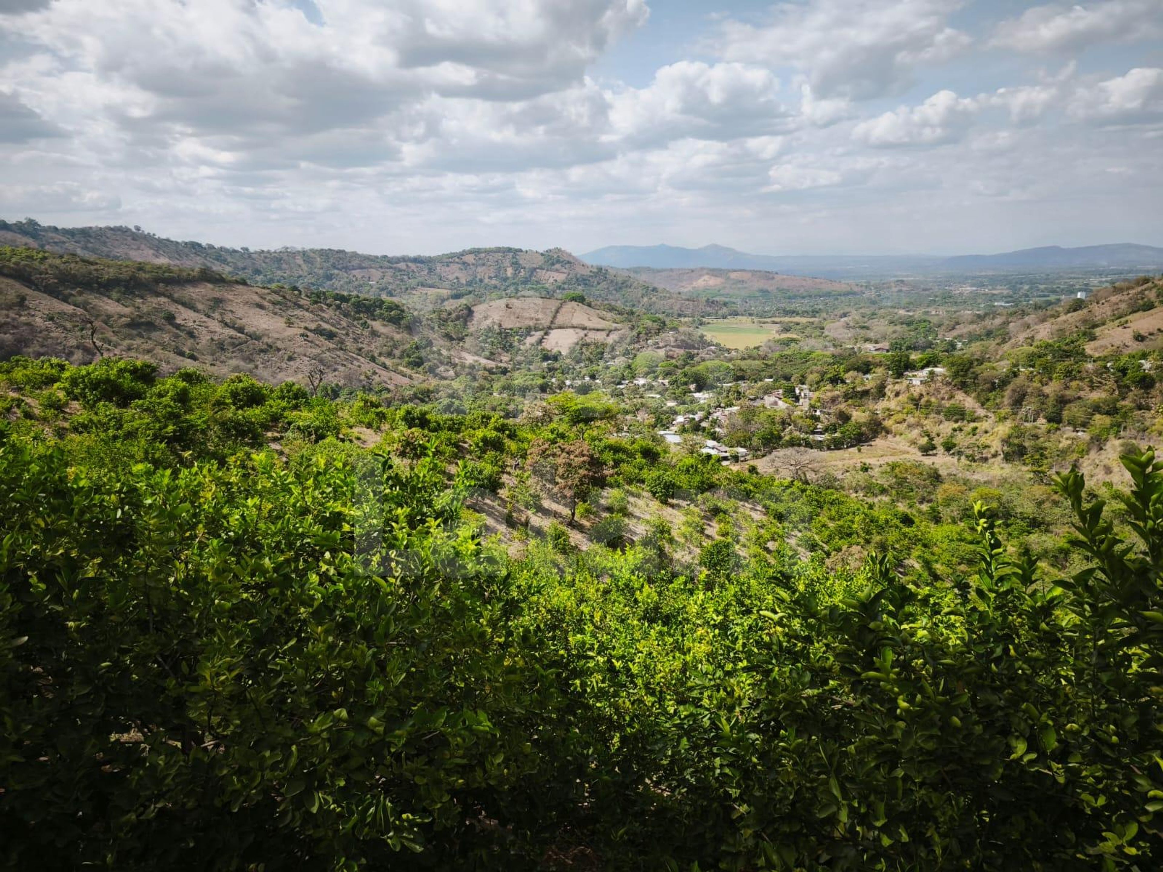 Terreno en venta en Jayaque