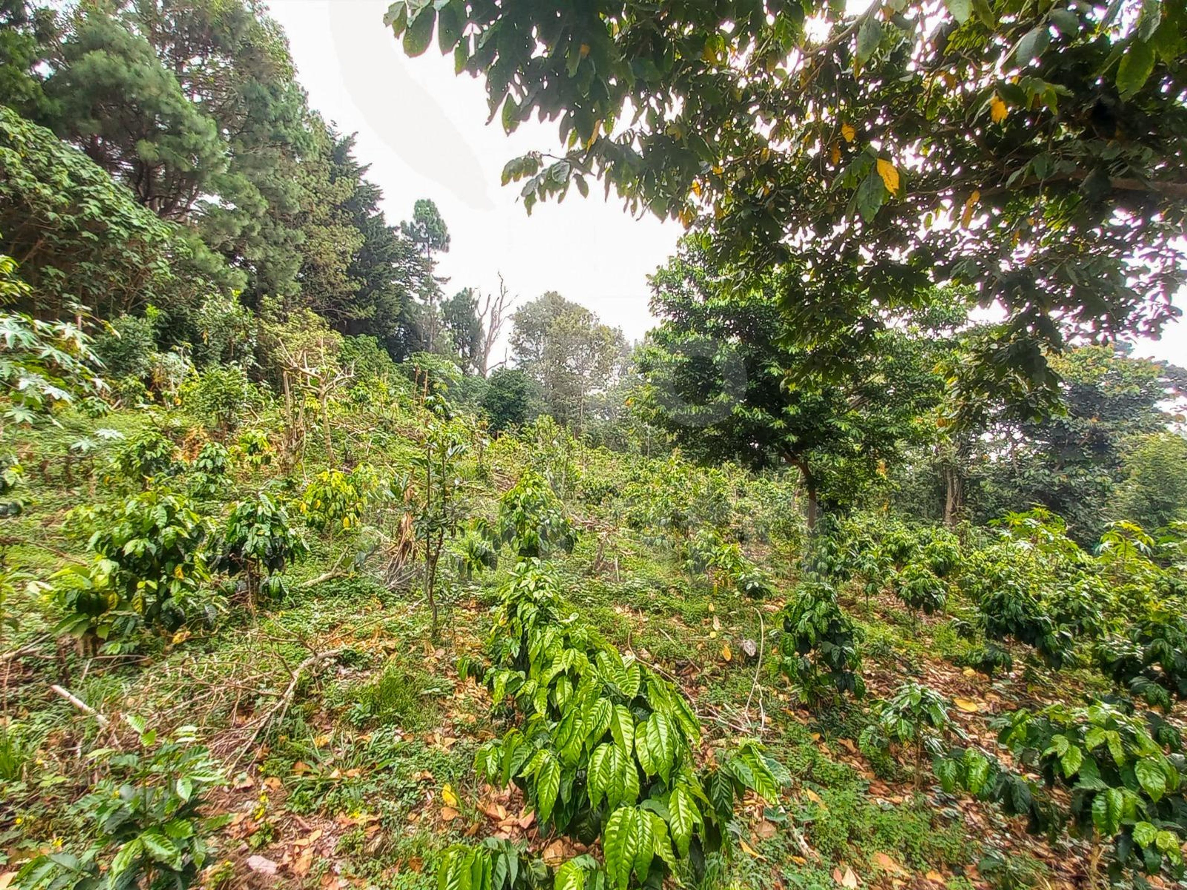 Terreno en venta en El Boqueron