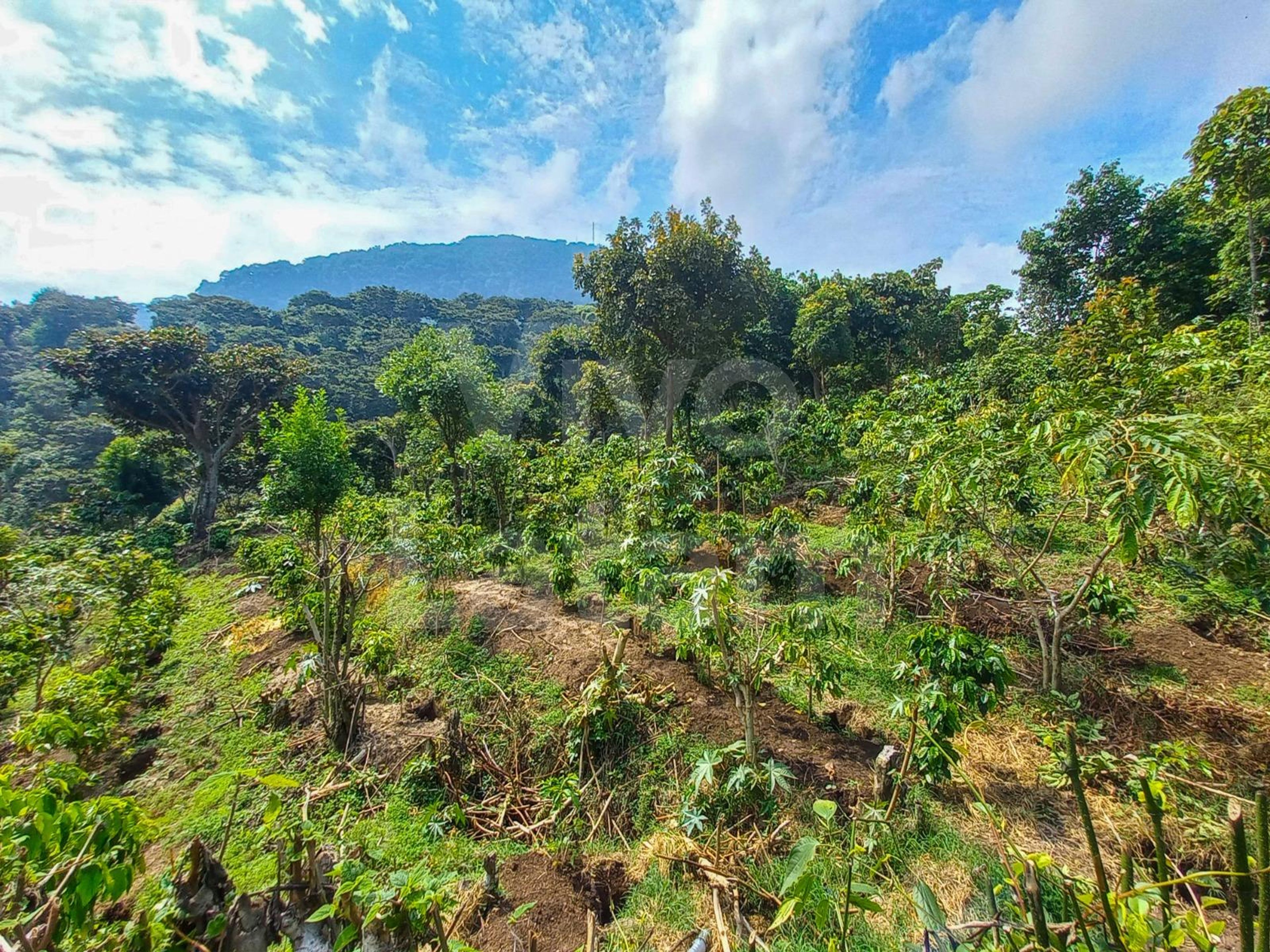 Terreno en venta en El Boqueron