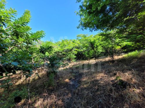 Residential lot for sale in Tamanique