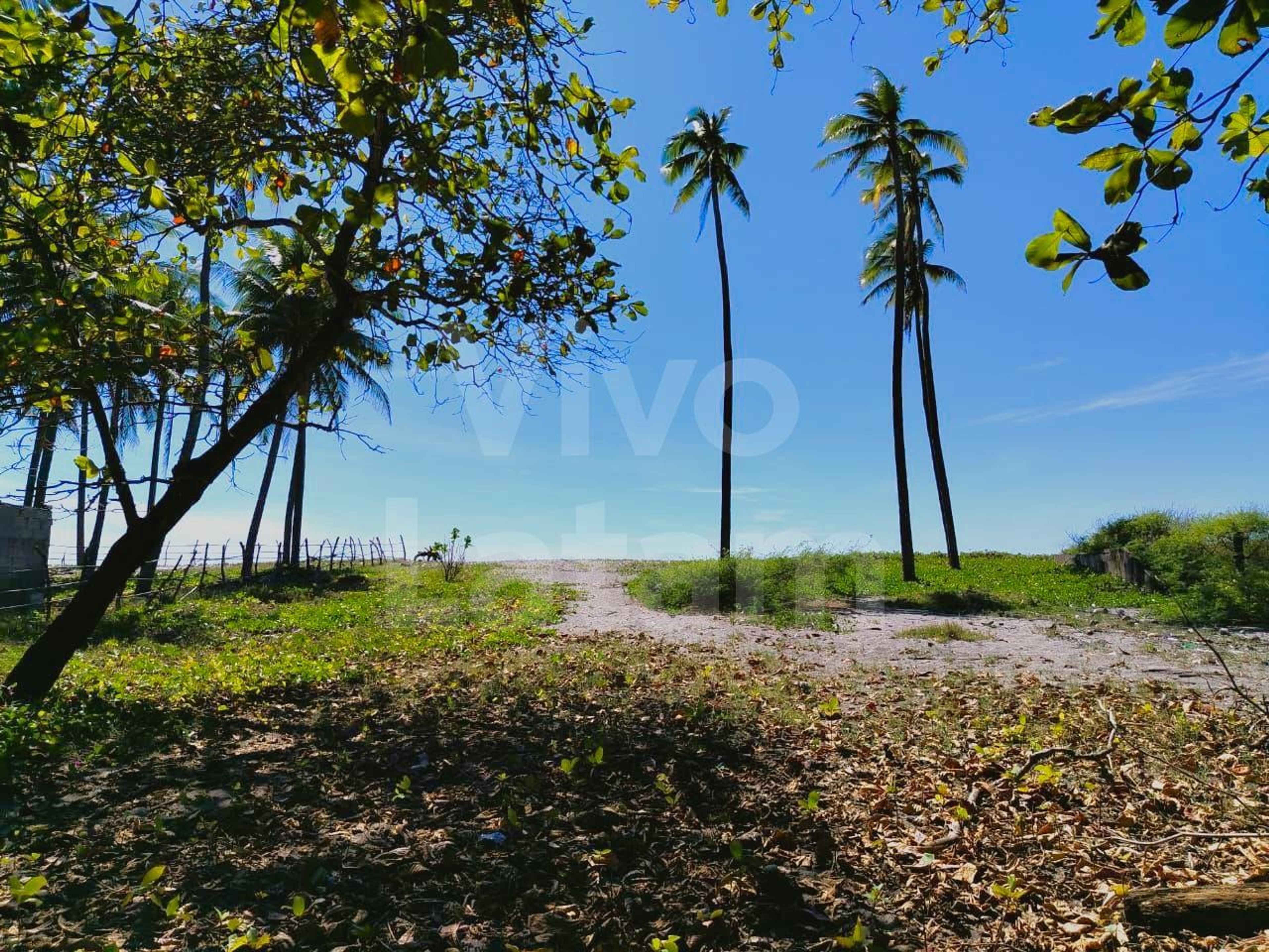 Land for sale in San Pedro Masahuat