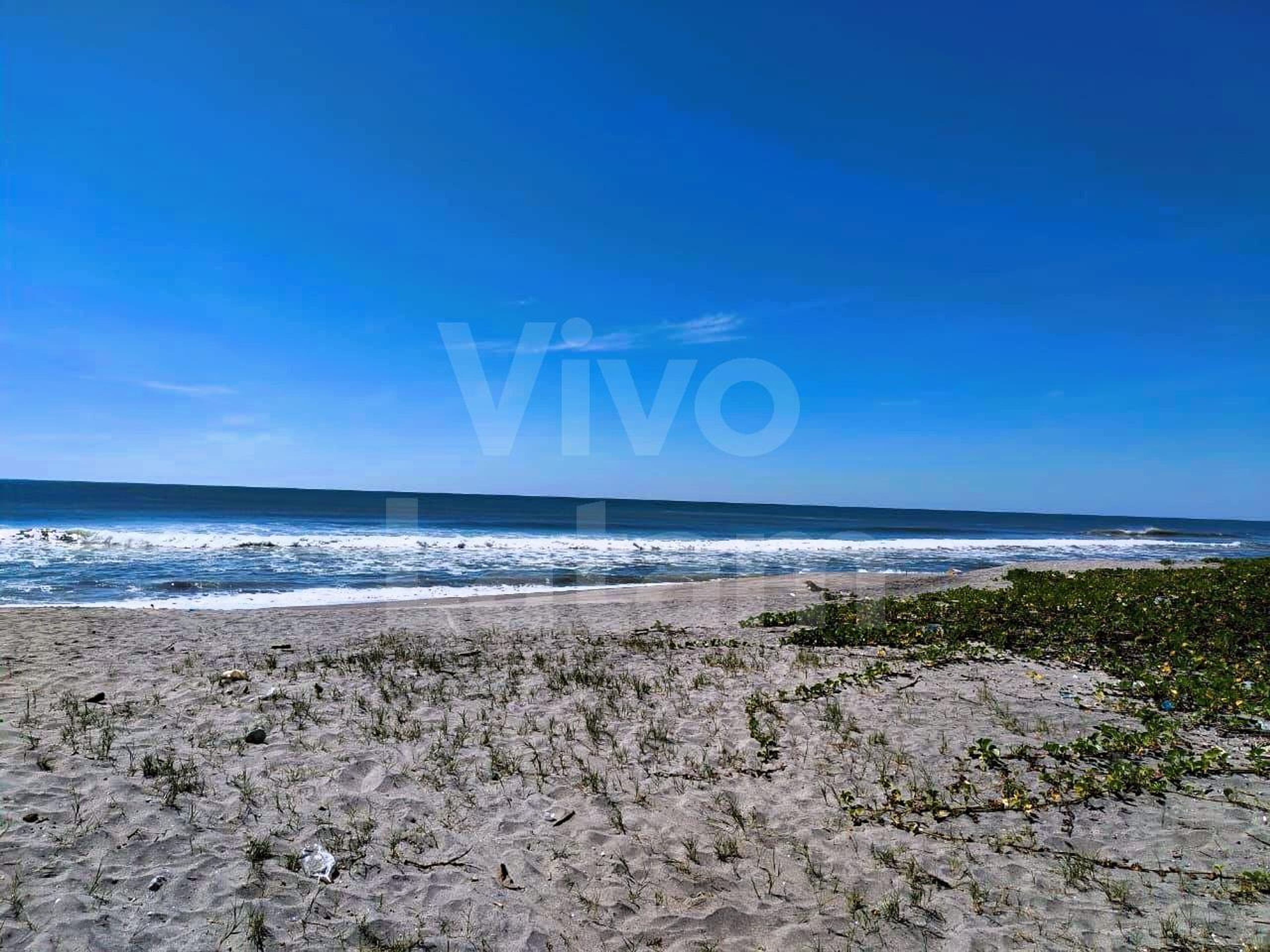 Land for sale in San Pedro Masahuat