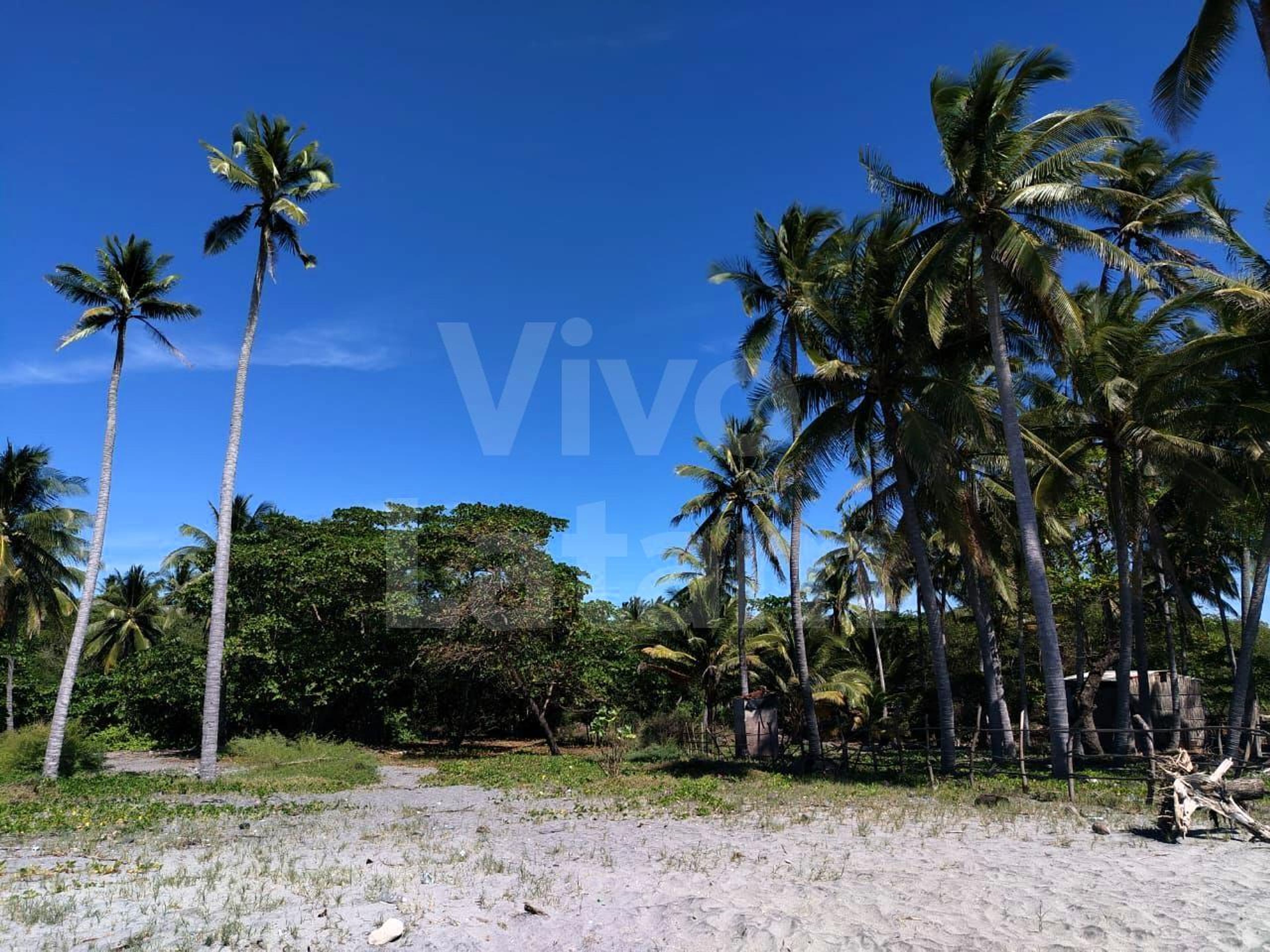 Land for sale in San Pedro Masahuat