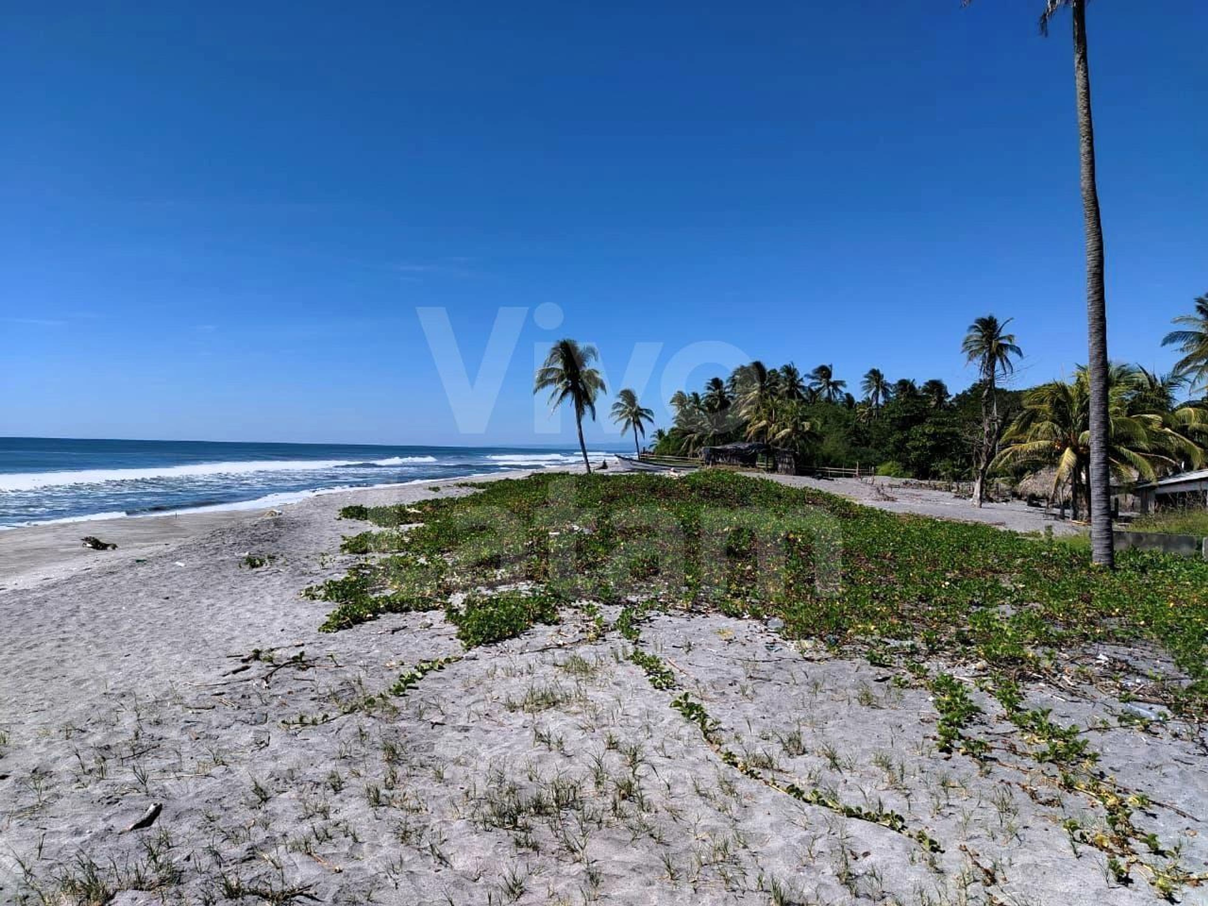 Land for sale in San Pedro Masahuat