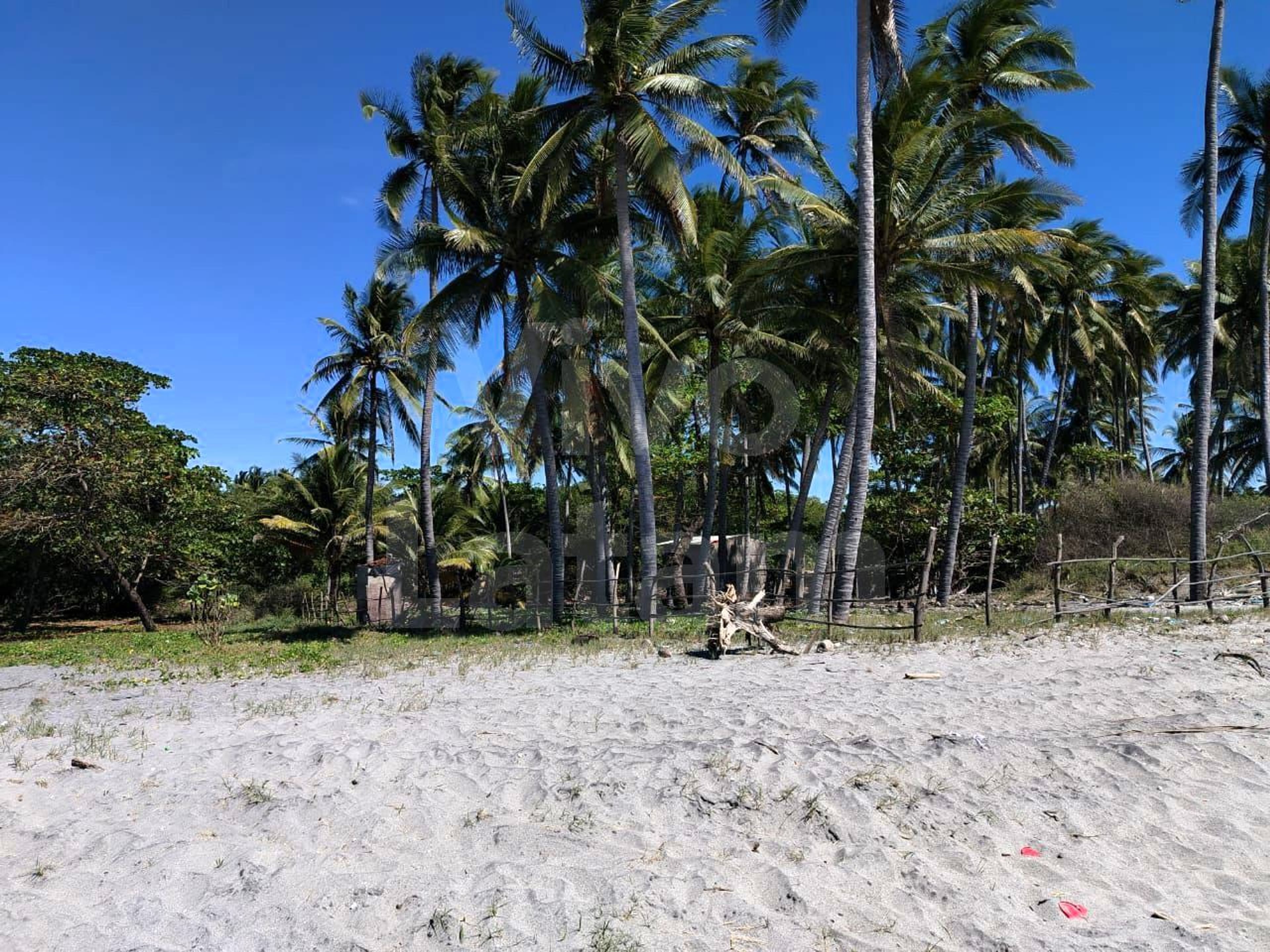 Land for sale in San Pedro Masahuat