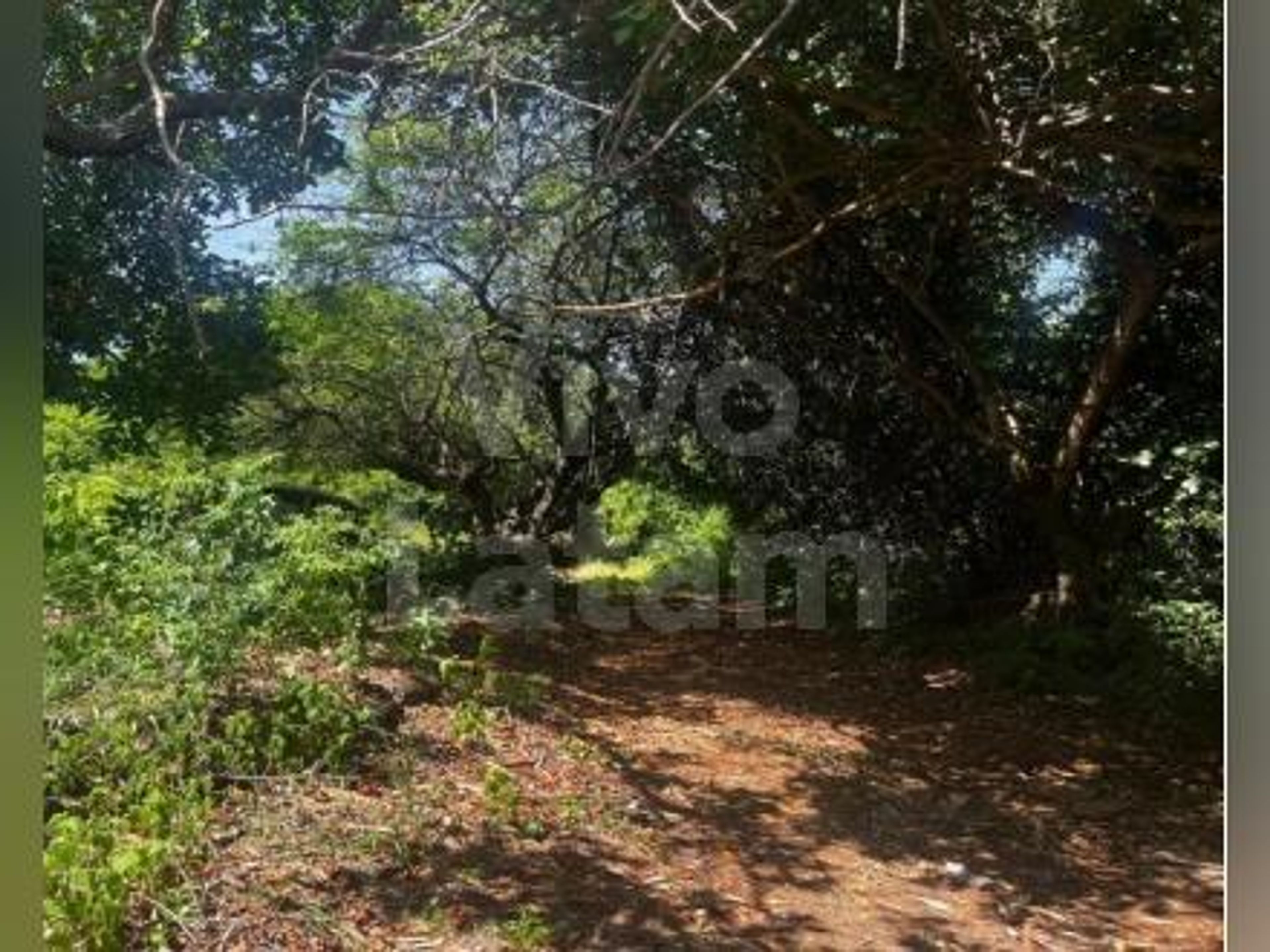 Land for sale in La Unión