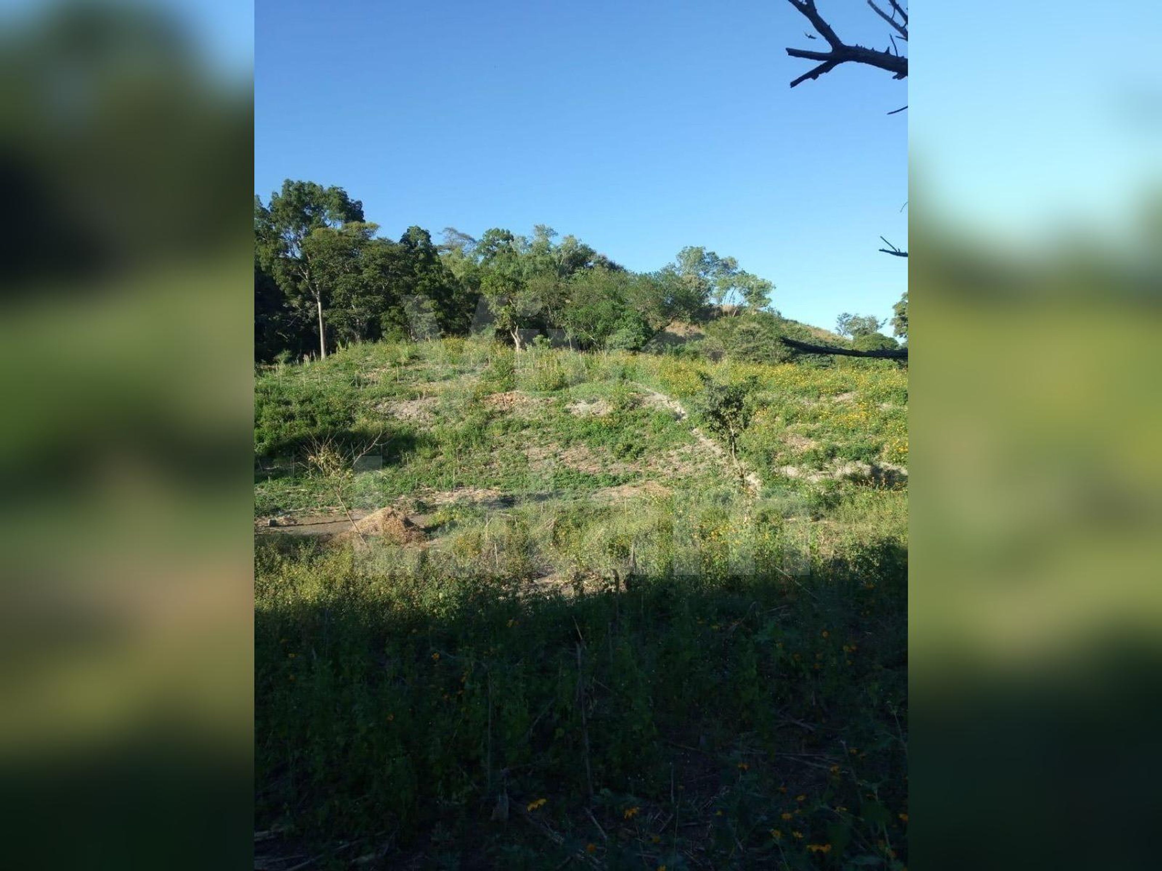 Terreno no urbanizable en venta en San Pedro Perulapán