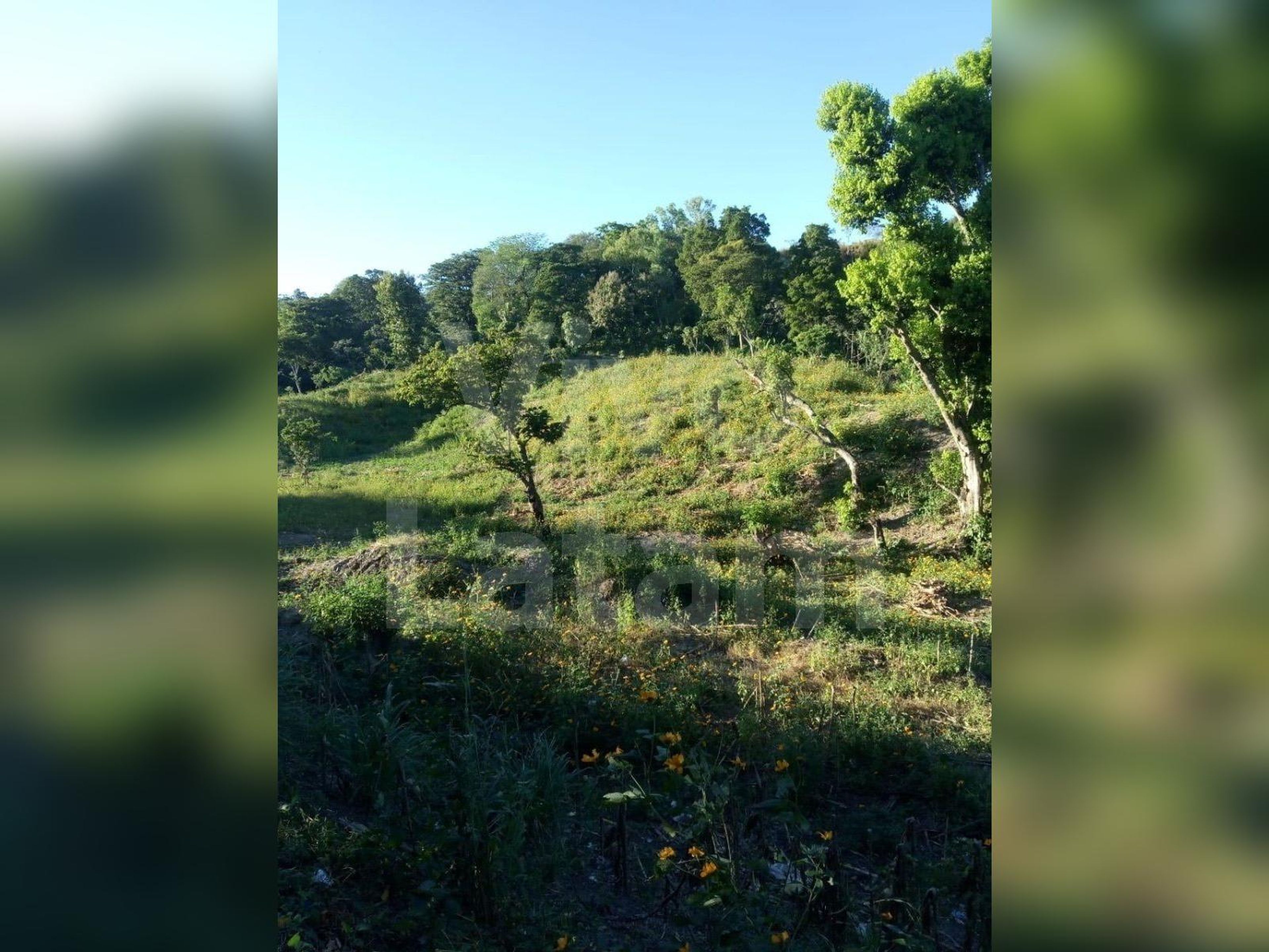 Terreno no urbanizable en venta en San Pedro Perulapán