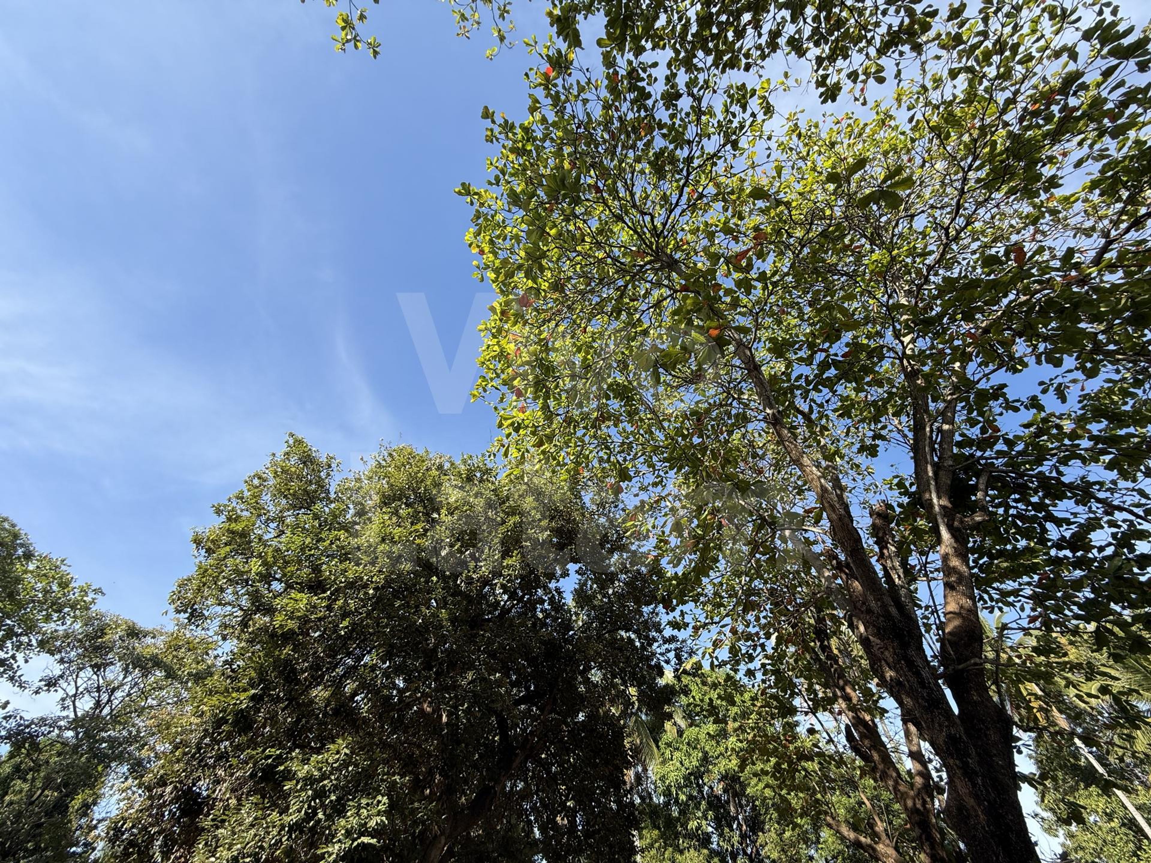 Lote en venta en La Libertad