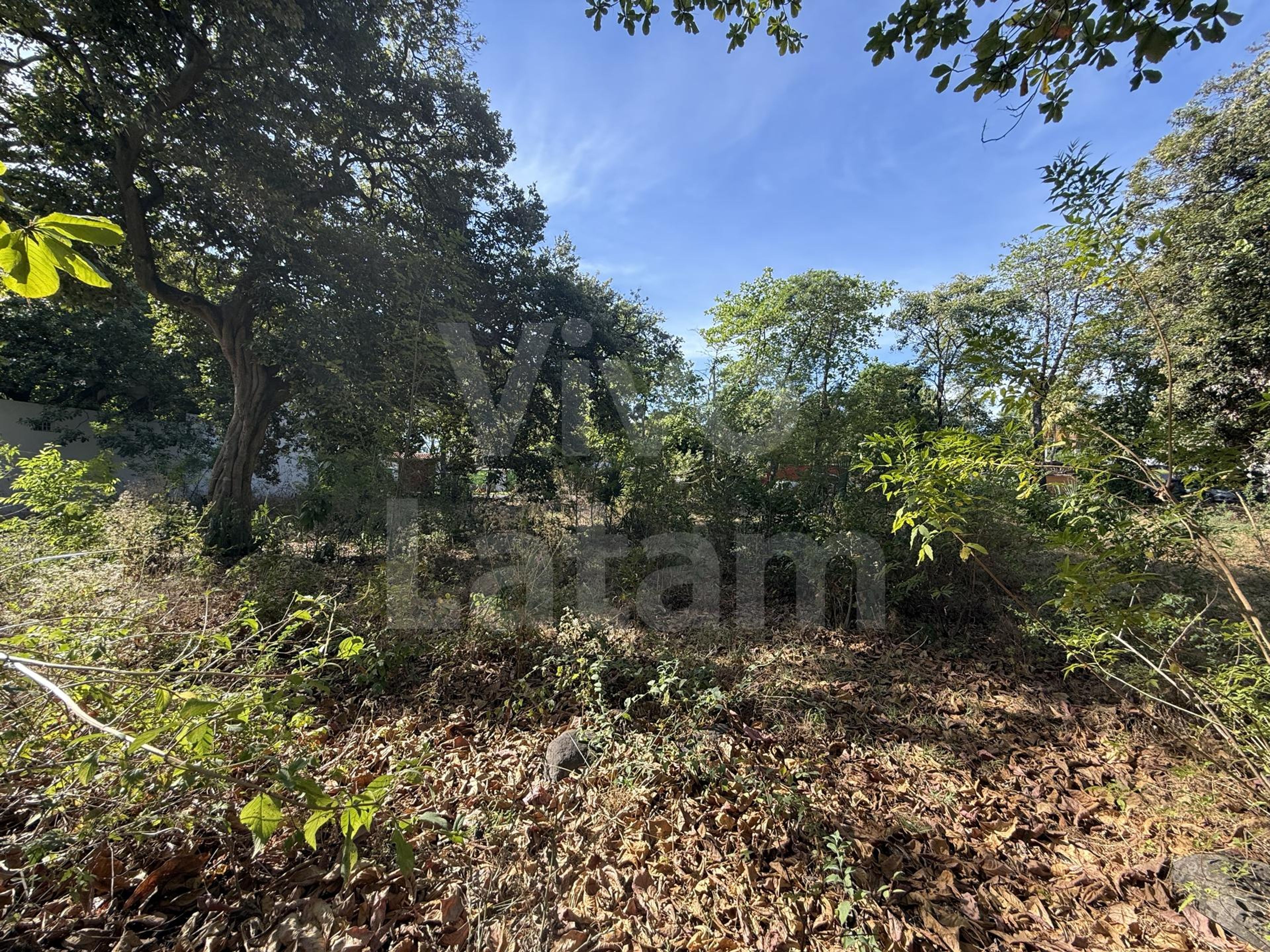 Lote en venta en La Libertad