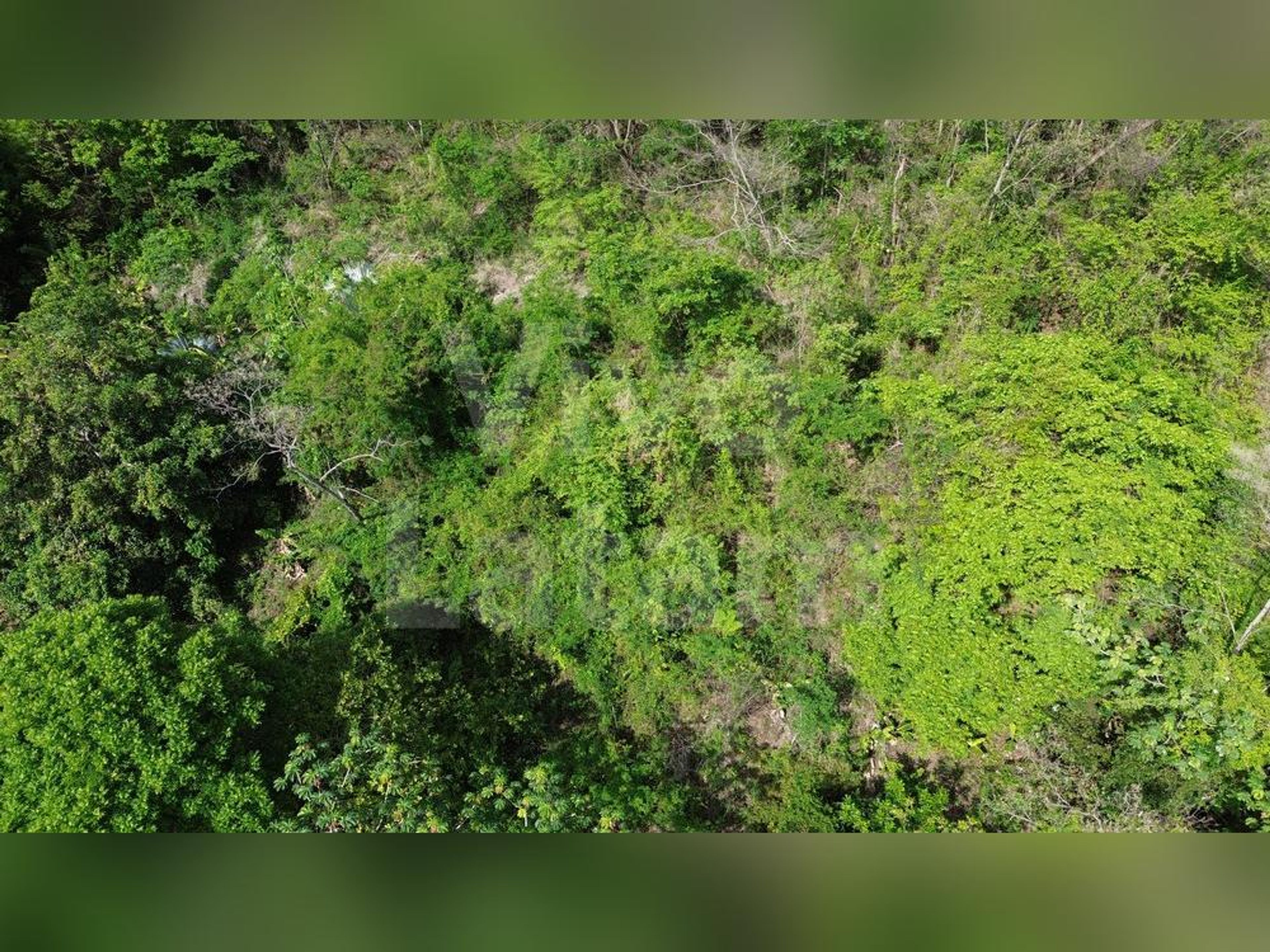 Land for sale in Chiltiupán