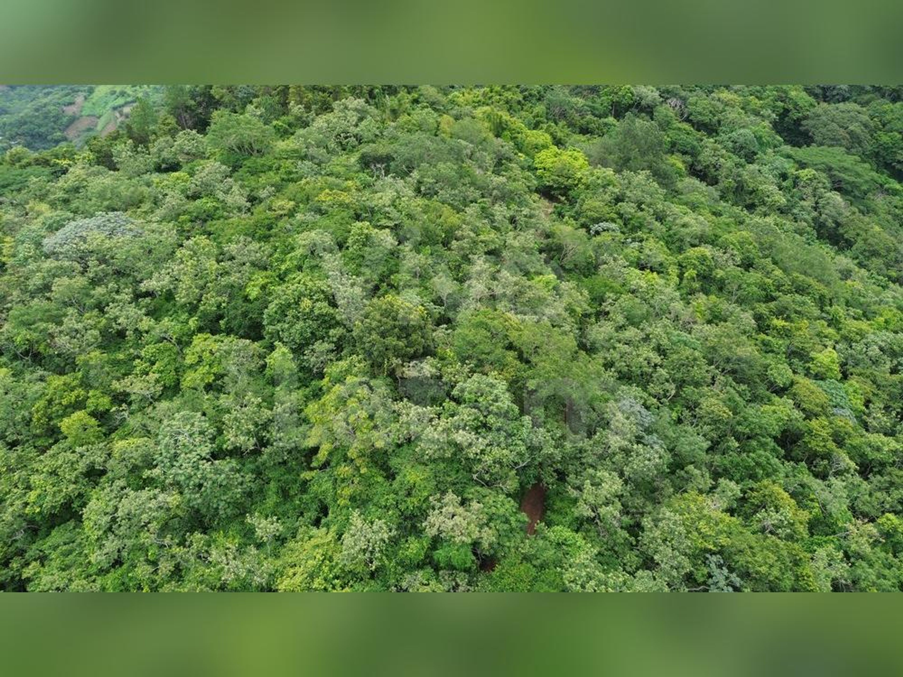 Land for sale in Tamanique