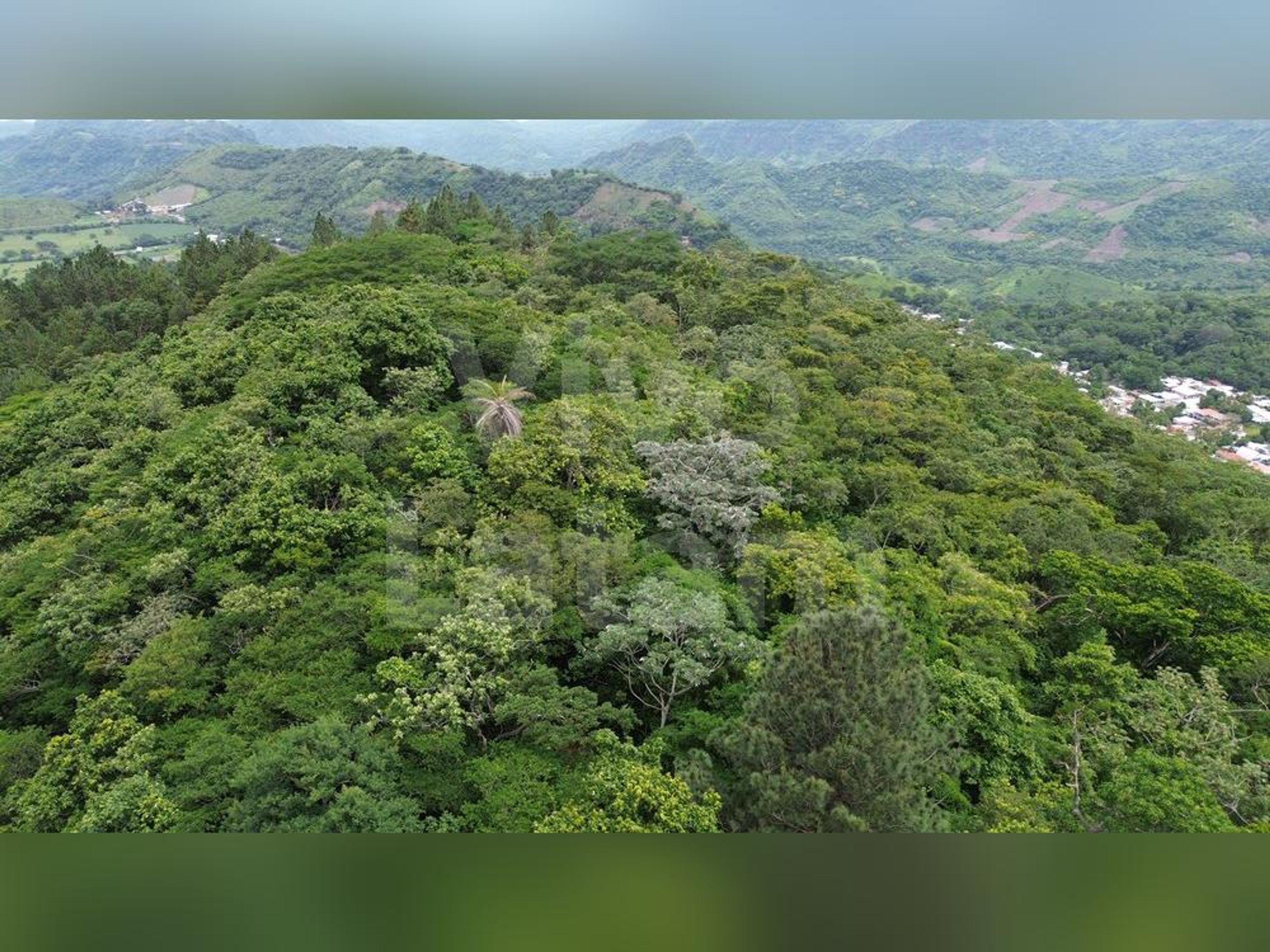 Land for sale in Tamanique