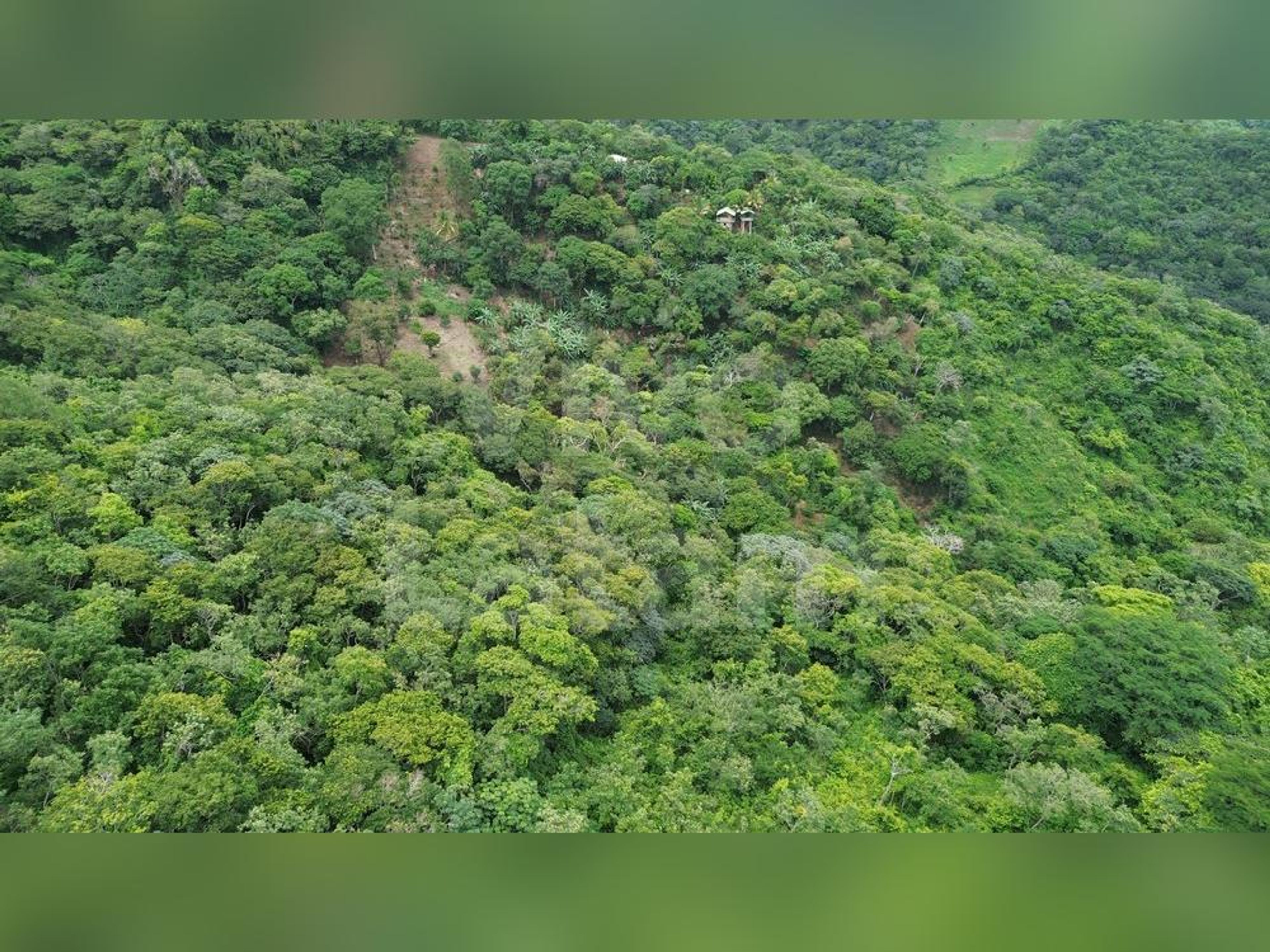 Land for sale in Tamanique