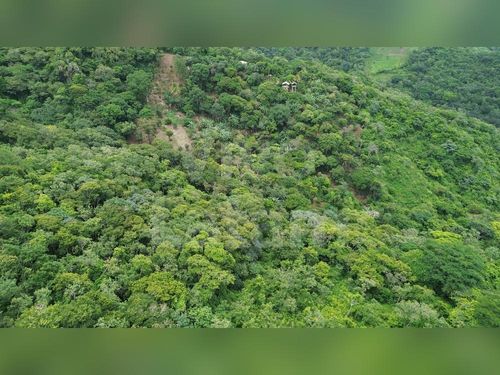 Land for sale in Tamanique