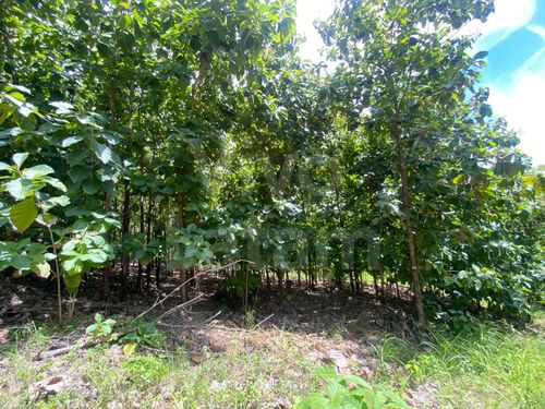 Residential lot for sale in La Libertad