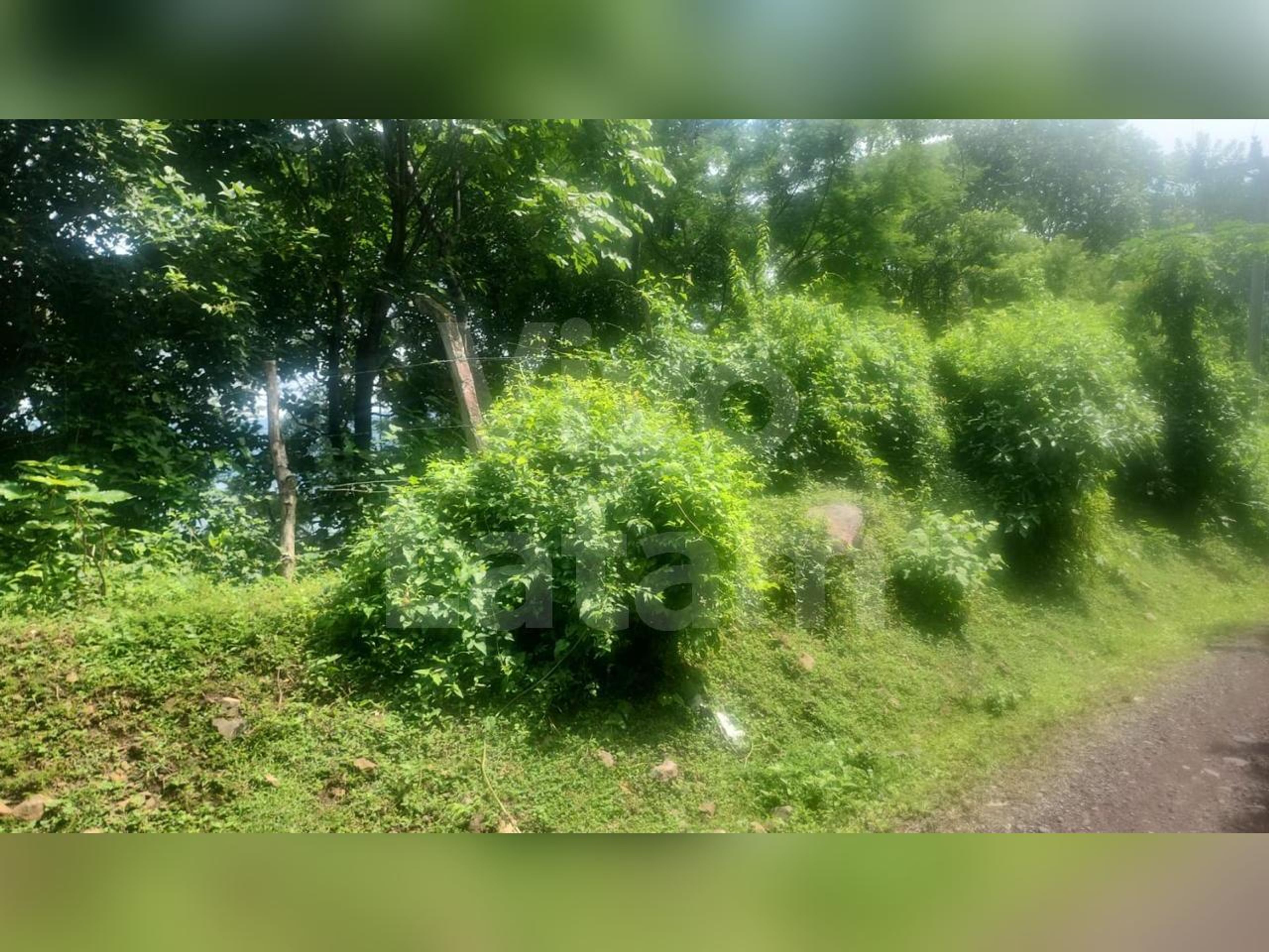 Lote en venta en Lago Coatepeque