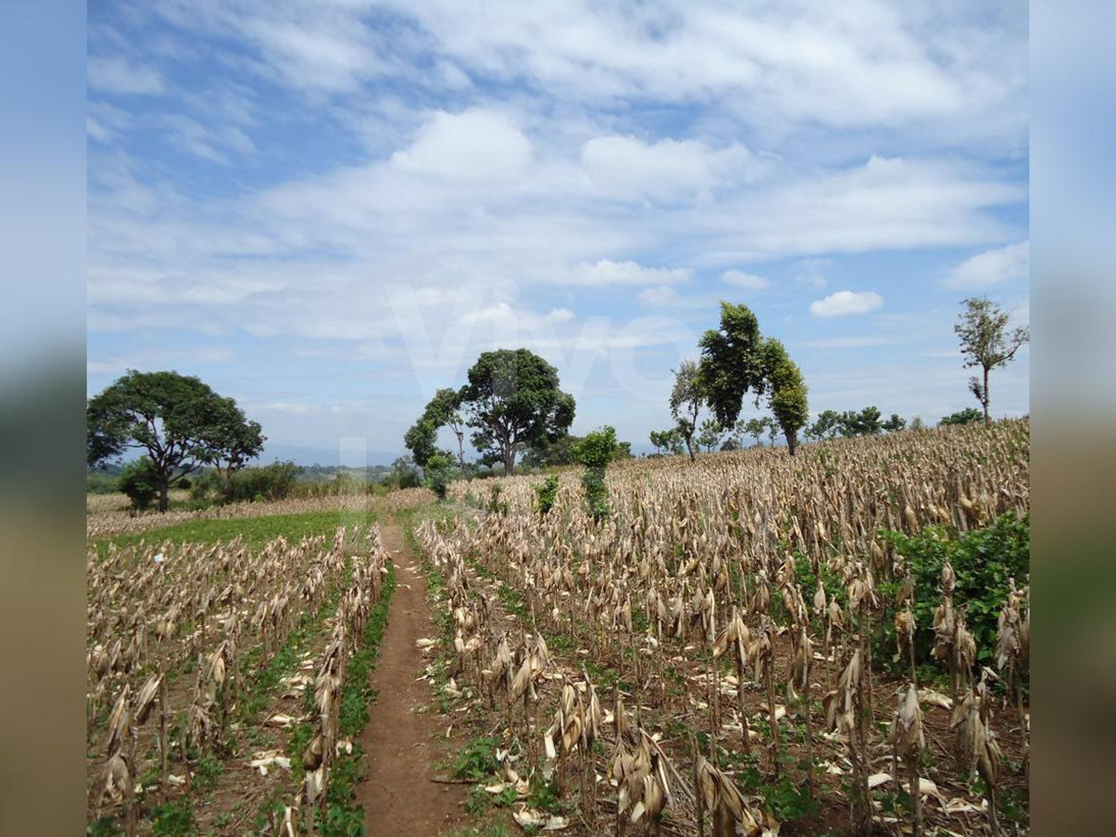 Terreno en venta en Ahuachapán