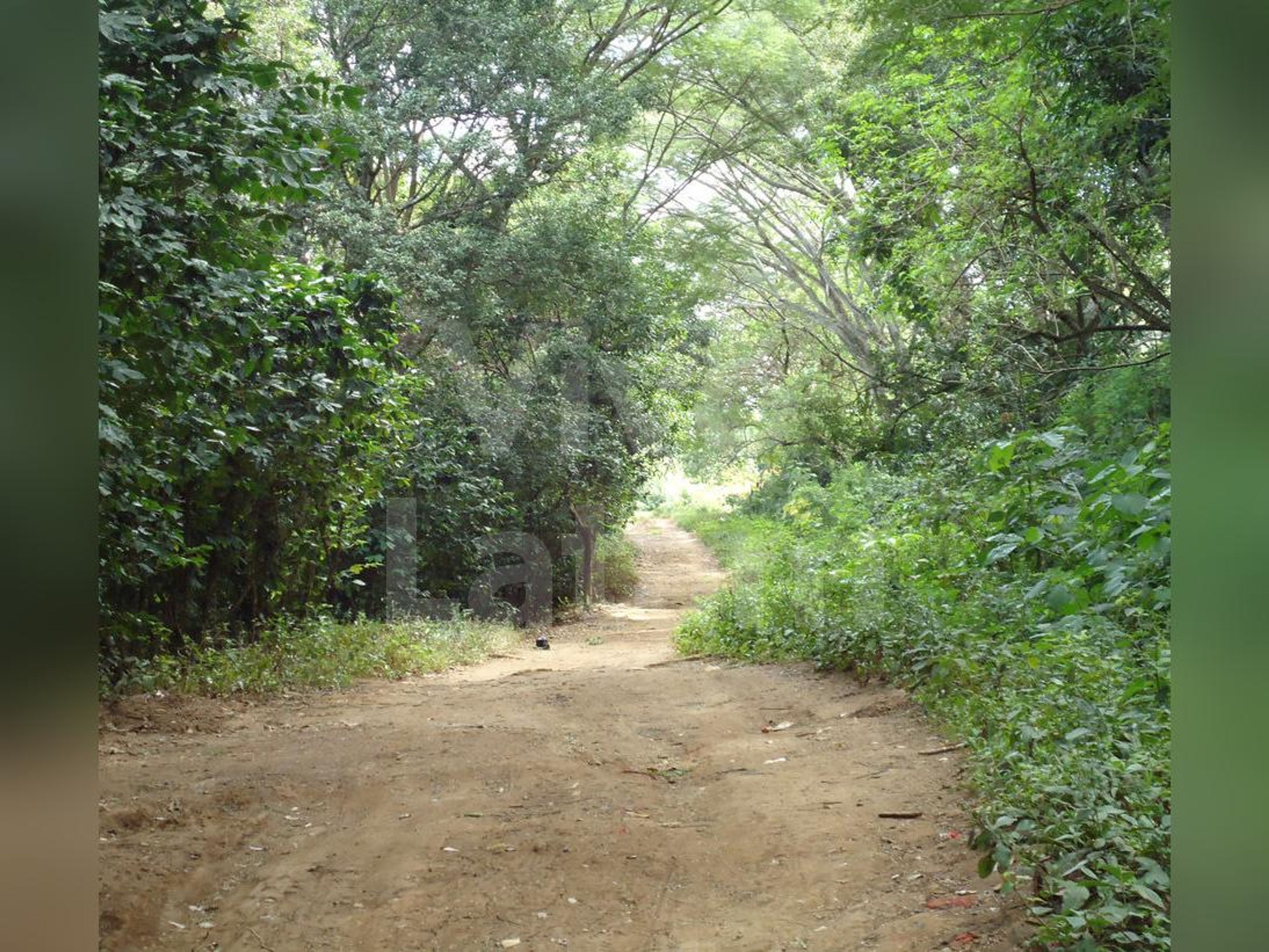 Terreno en venta en Ahuachapán