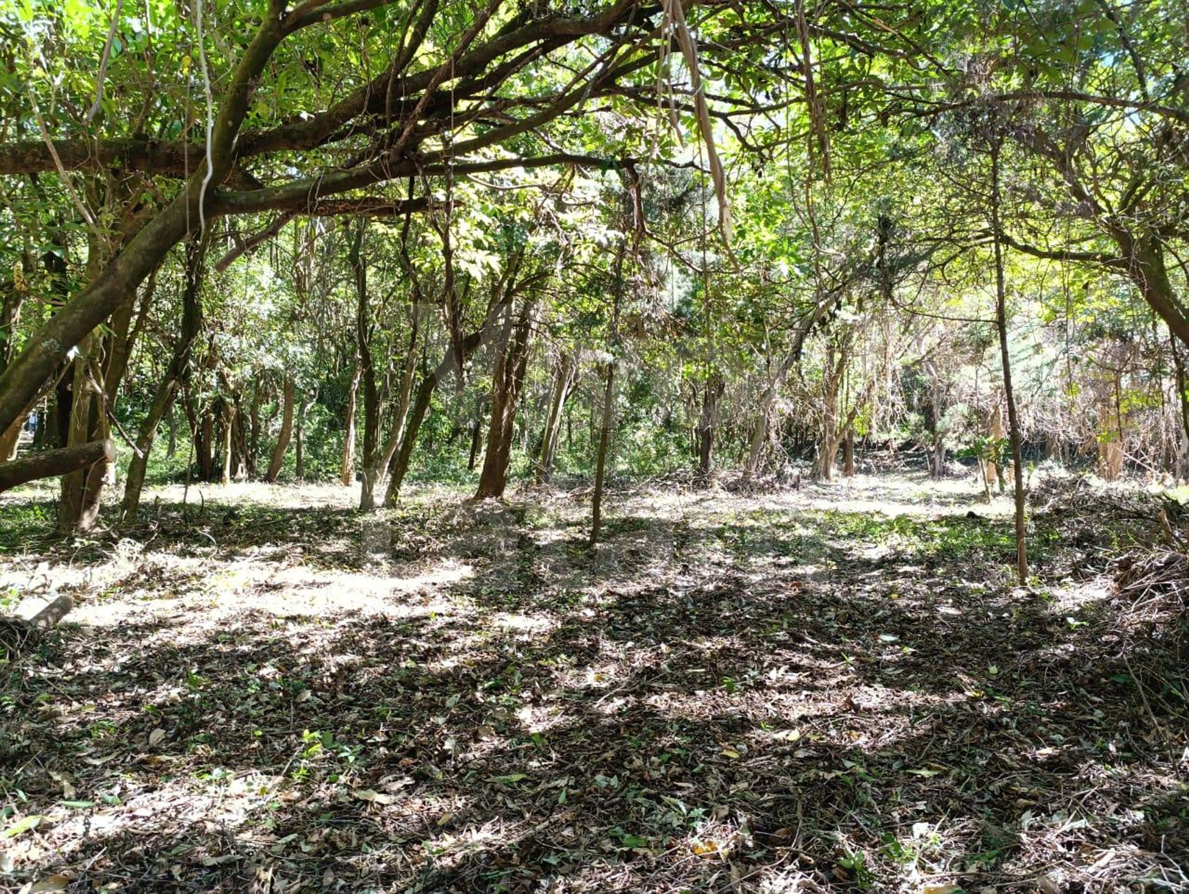 Land for sale in Santa Ana