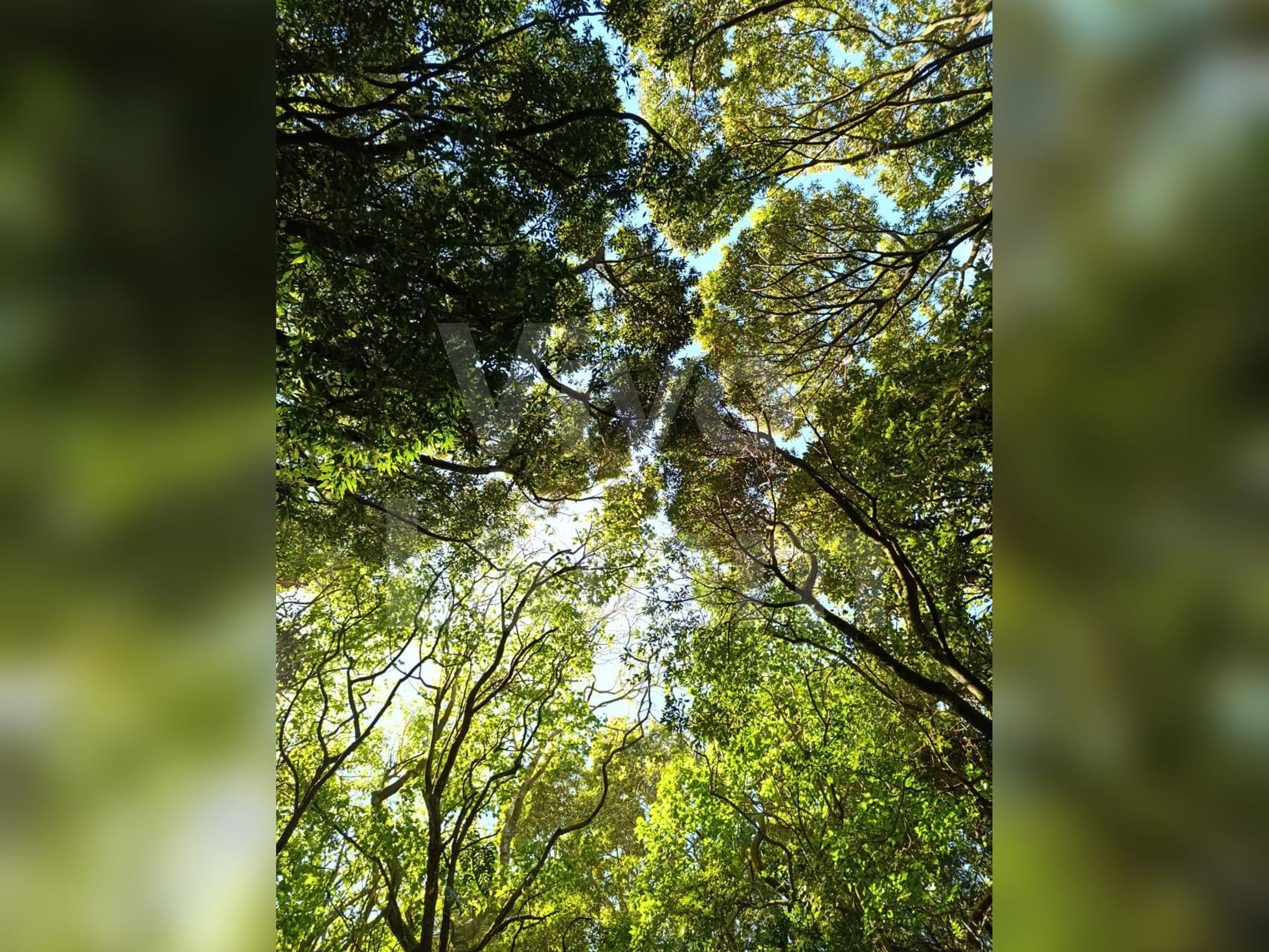 Land for sale in Santa Ana