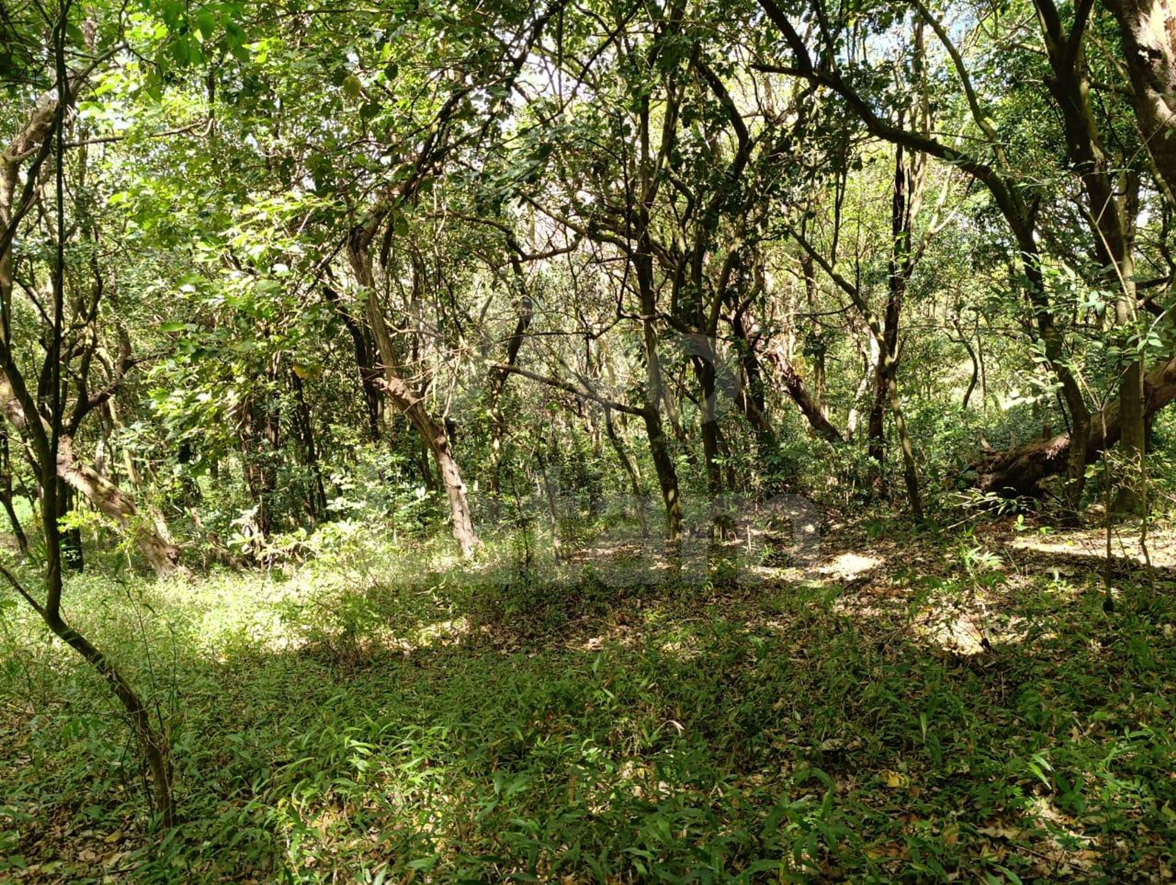 Land for sale in Santa Ana