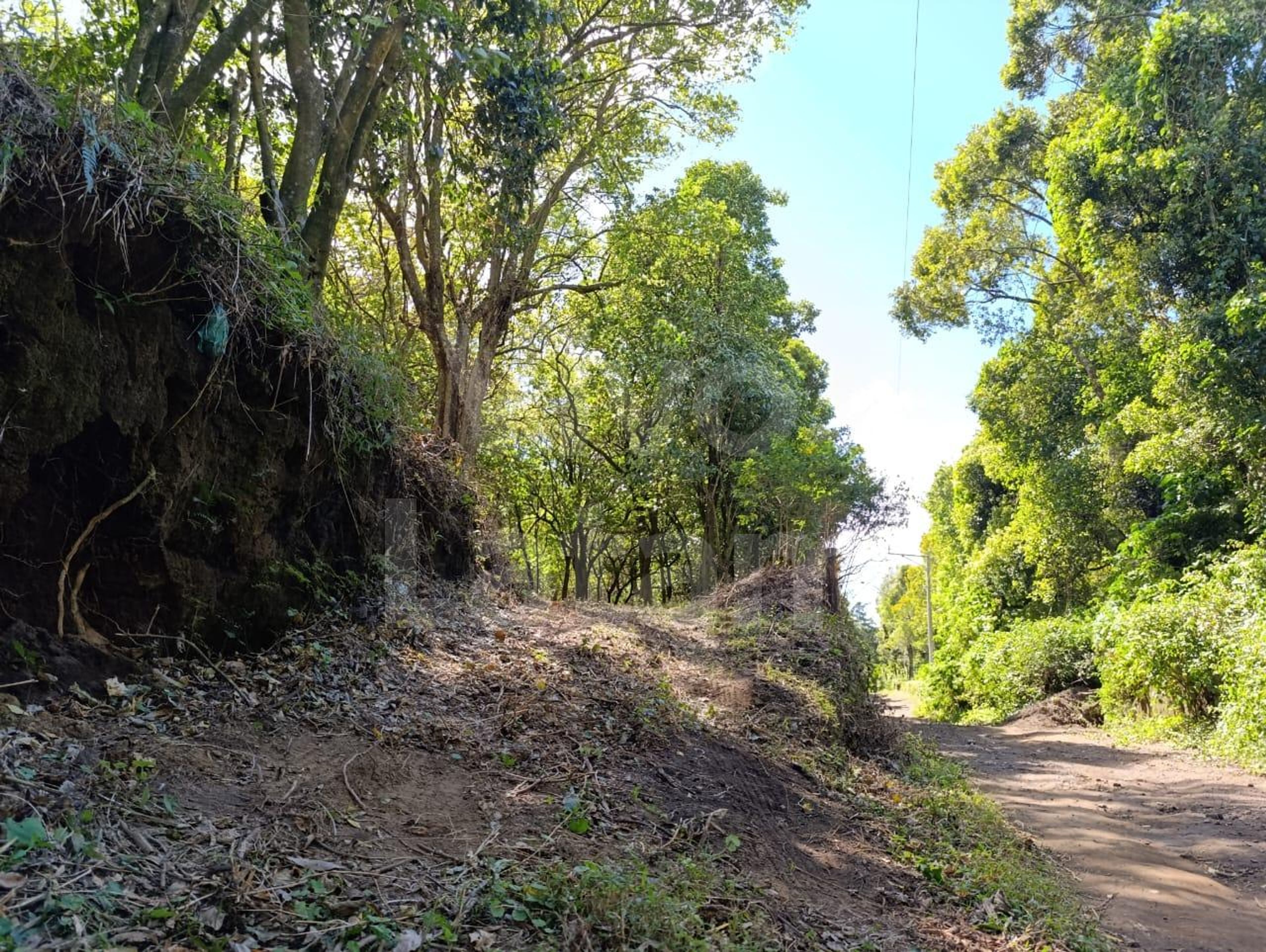 Land for sale in Santa Ana