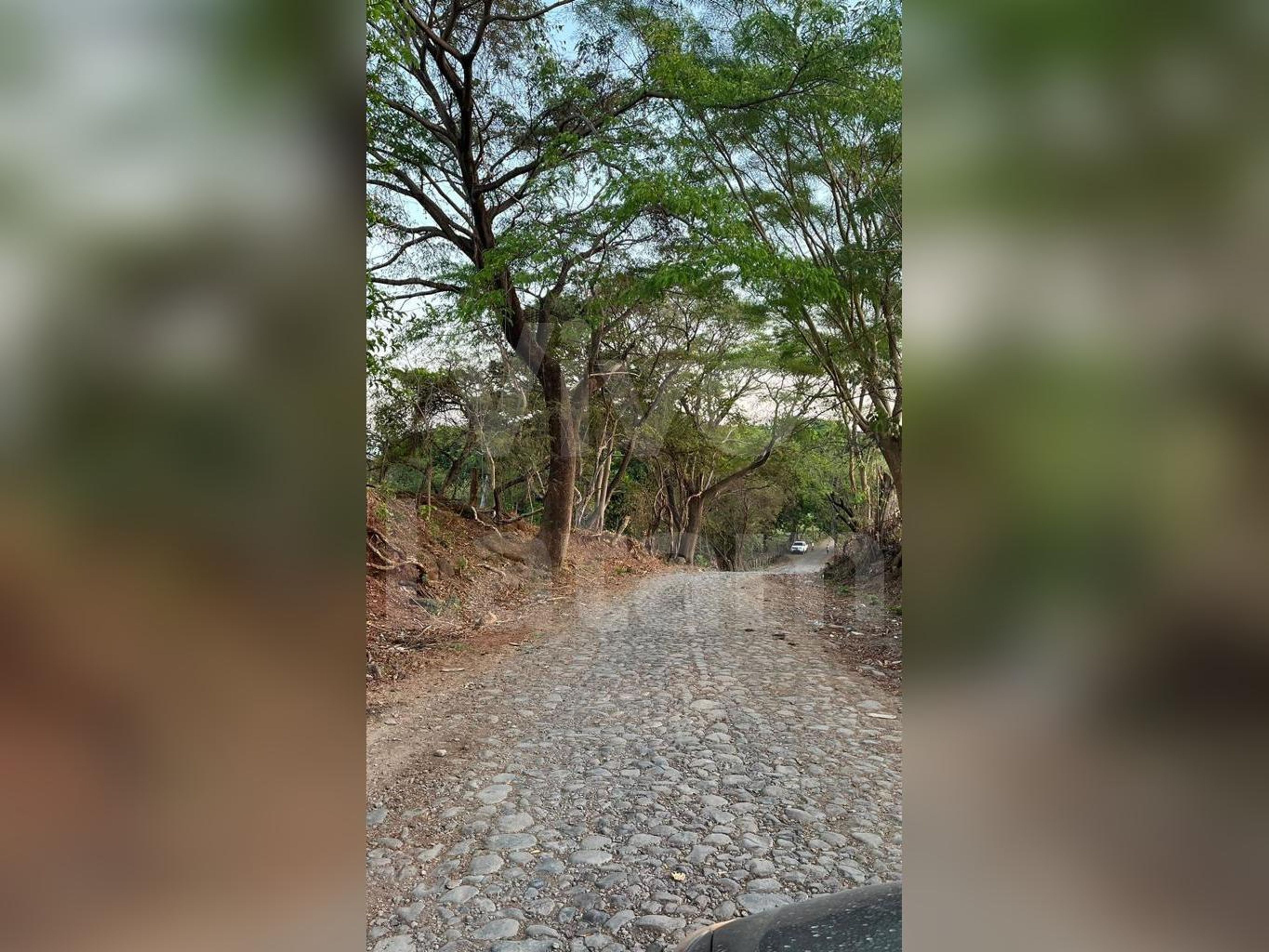 Land for sale in Intipucá