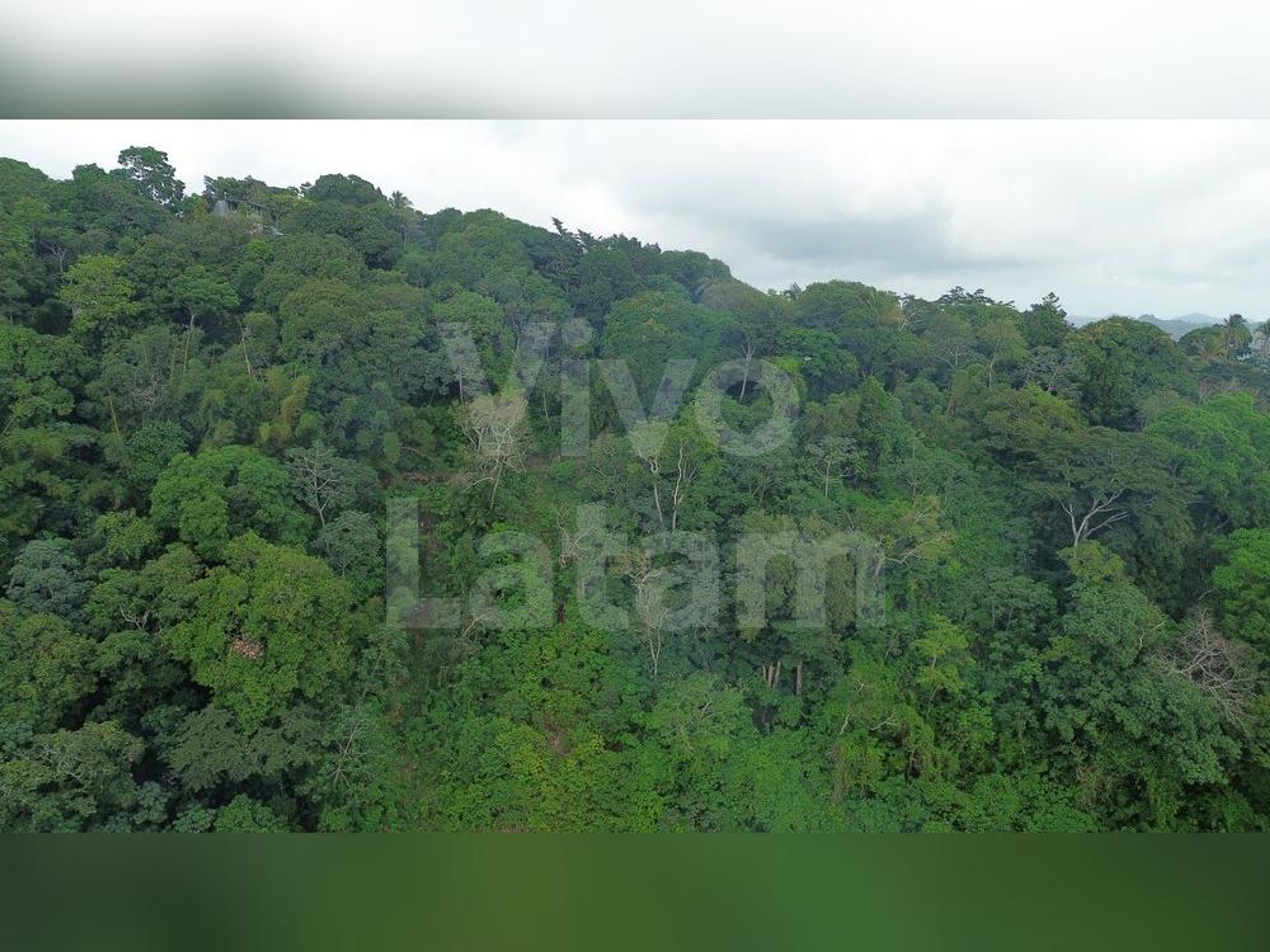 Terreno en venta en Chiltiupán