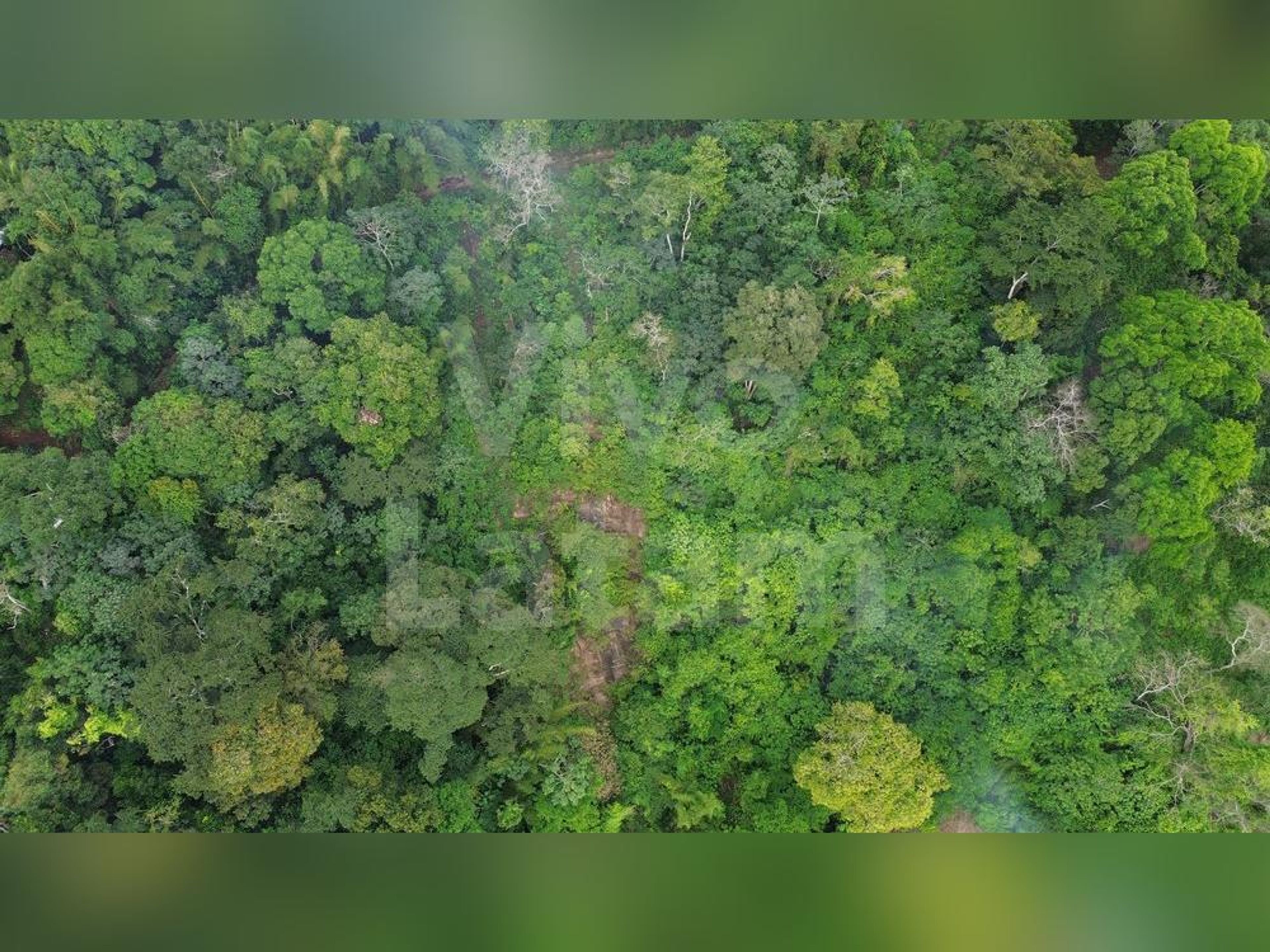 Terreno en venta en Chiltiupán