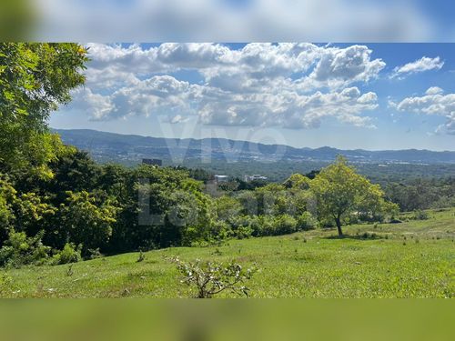 Terreno residencial en venta en Colonia Escalón