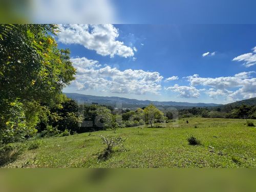 Terreno residencial en venta en Colonia Escalón