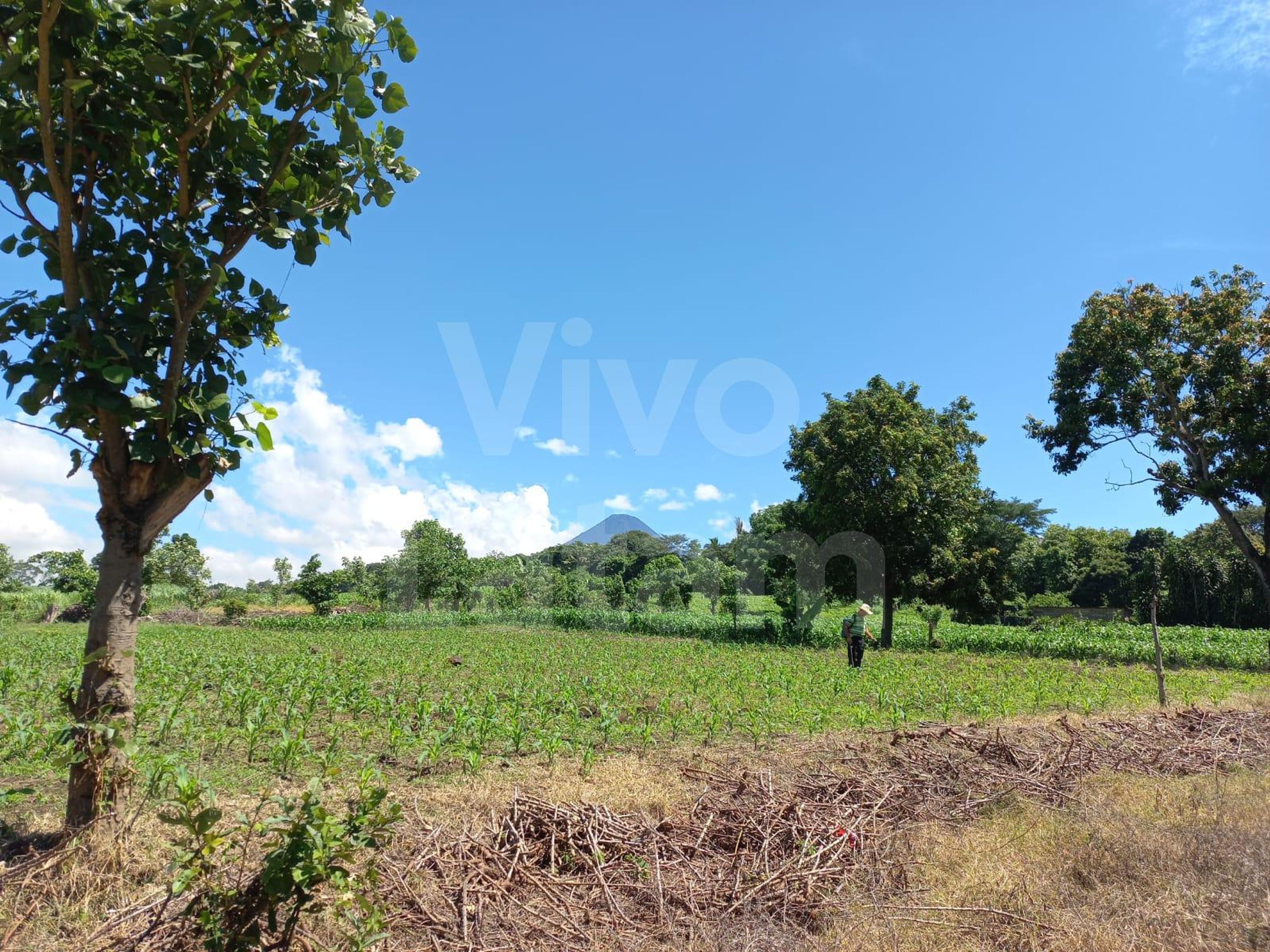 Terreno en venta en Izalco