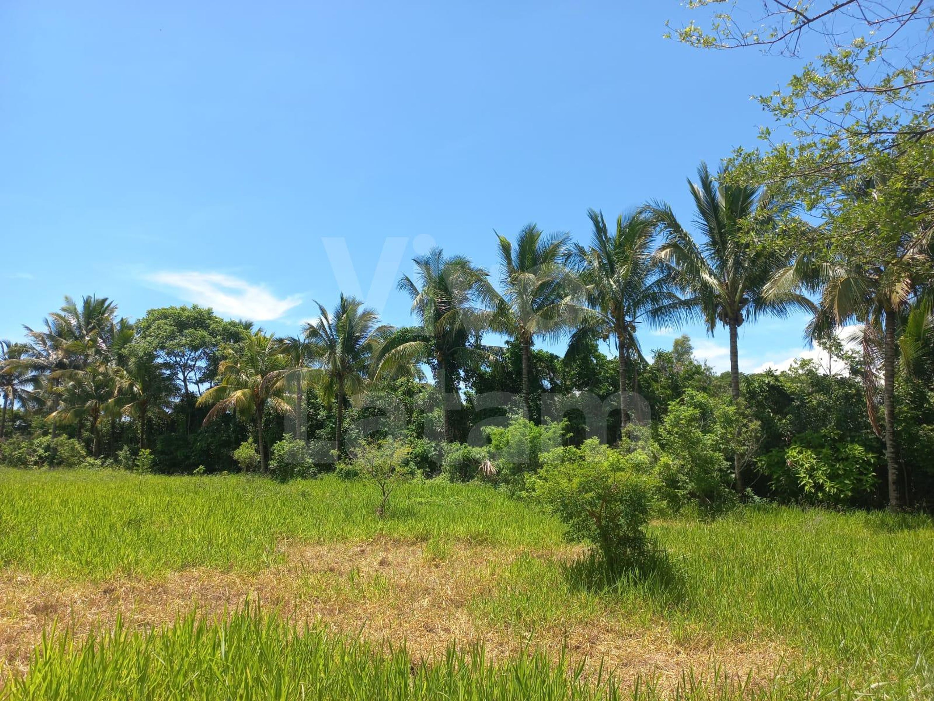 Terreno en venta en Izalco