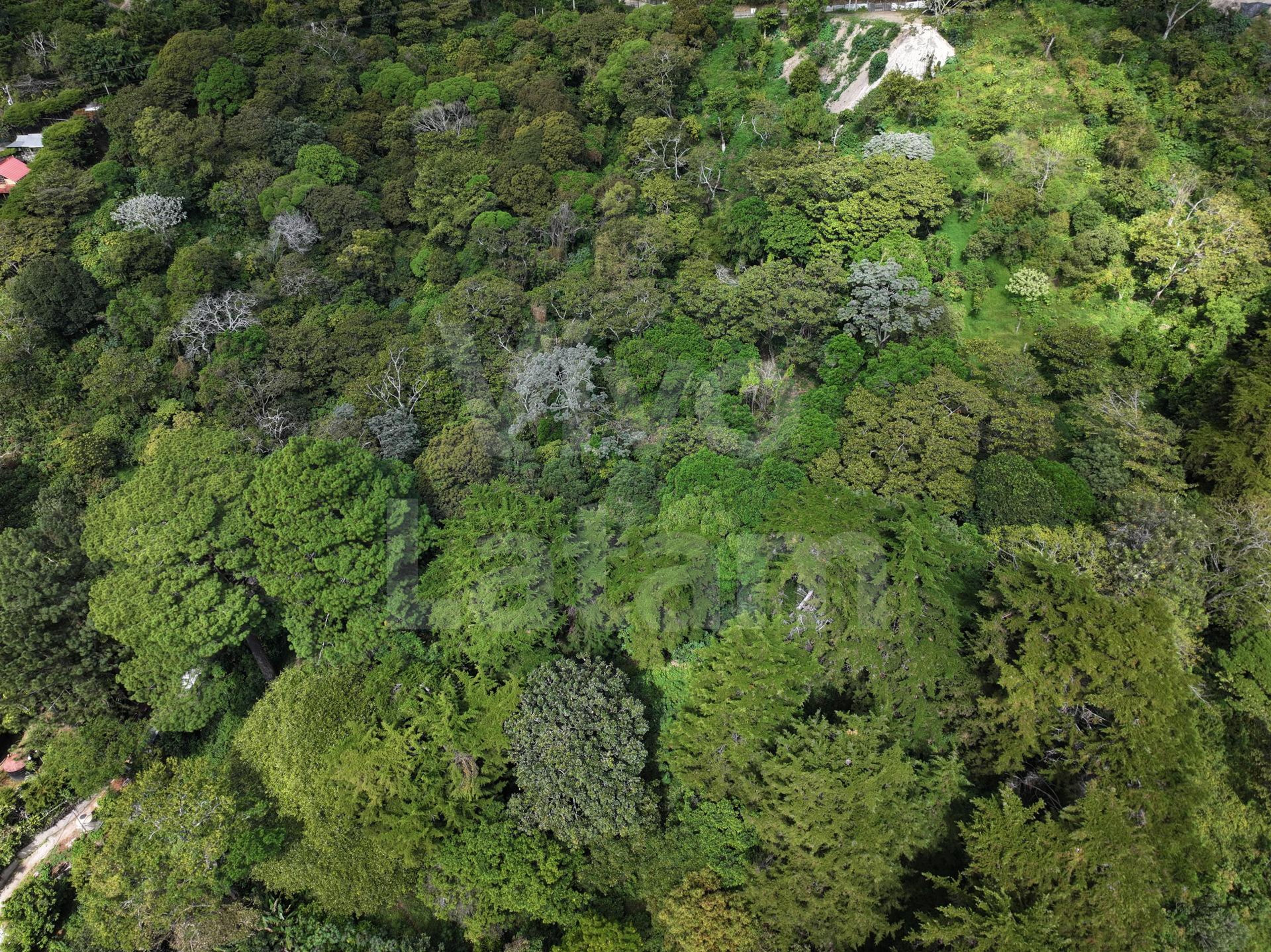 Terreno en venta en El Boqueron