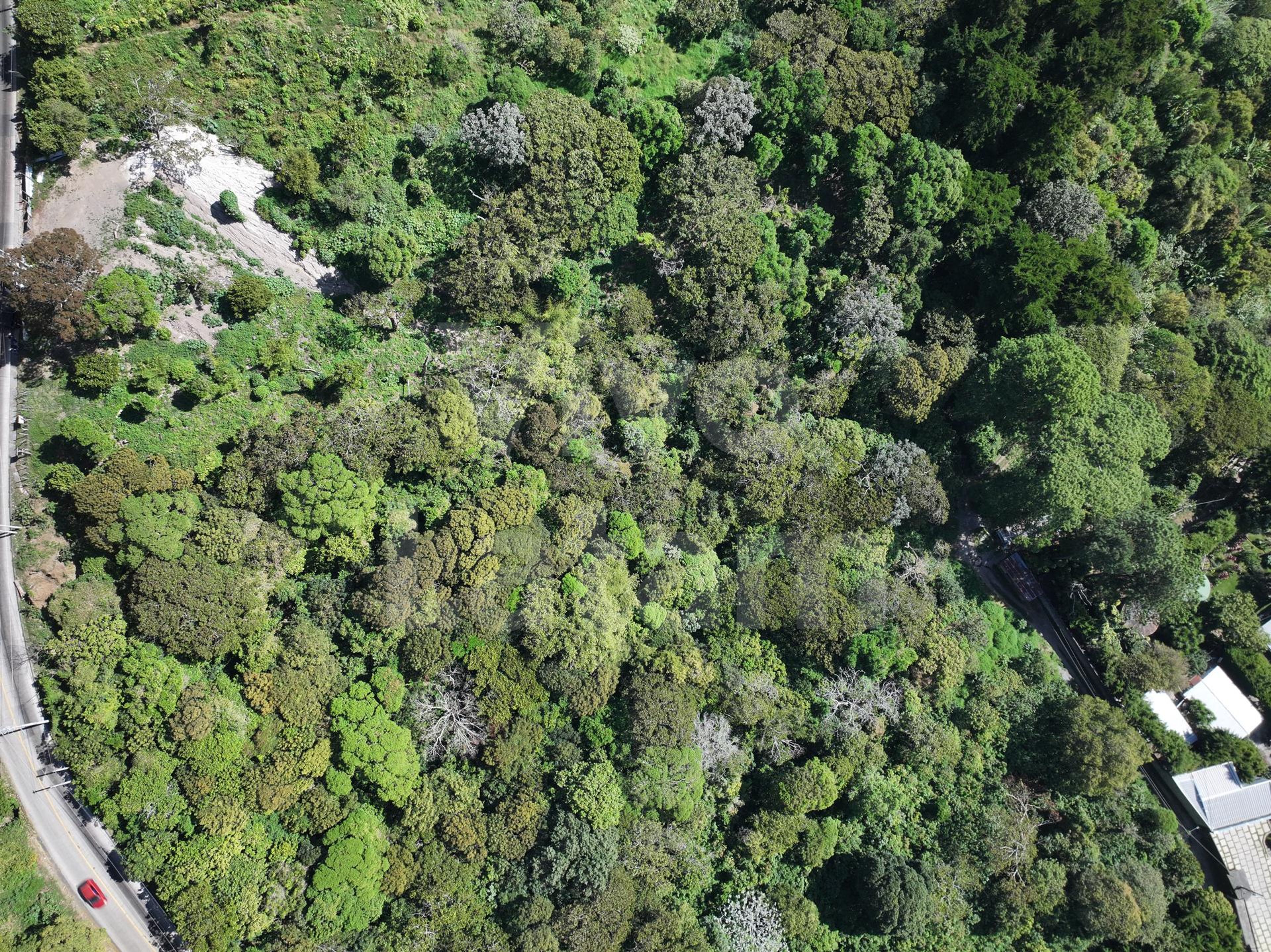 Terreno en venta en El Boqueron