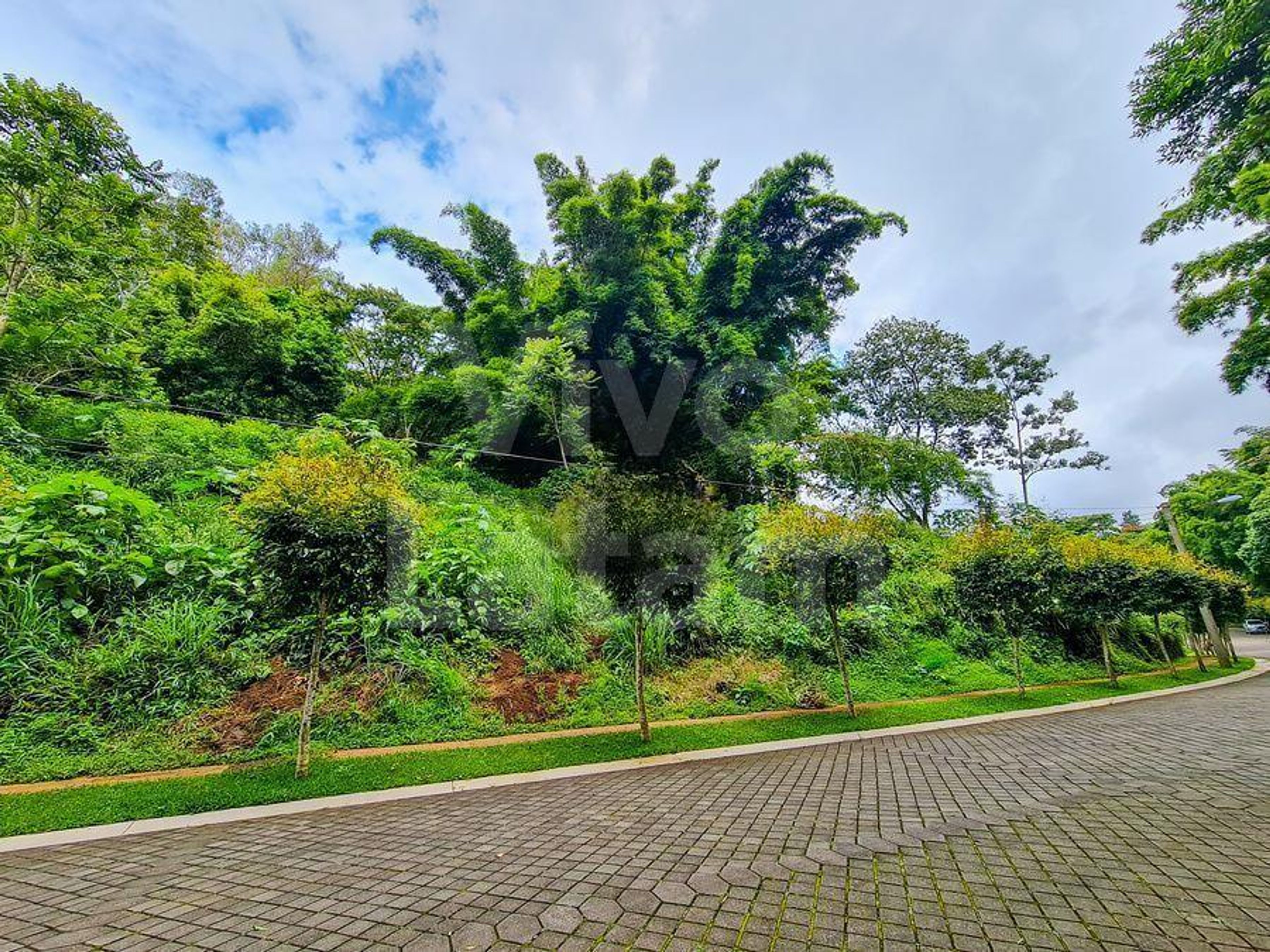 Terreno residencial en venta en Residencial Palmira