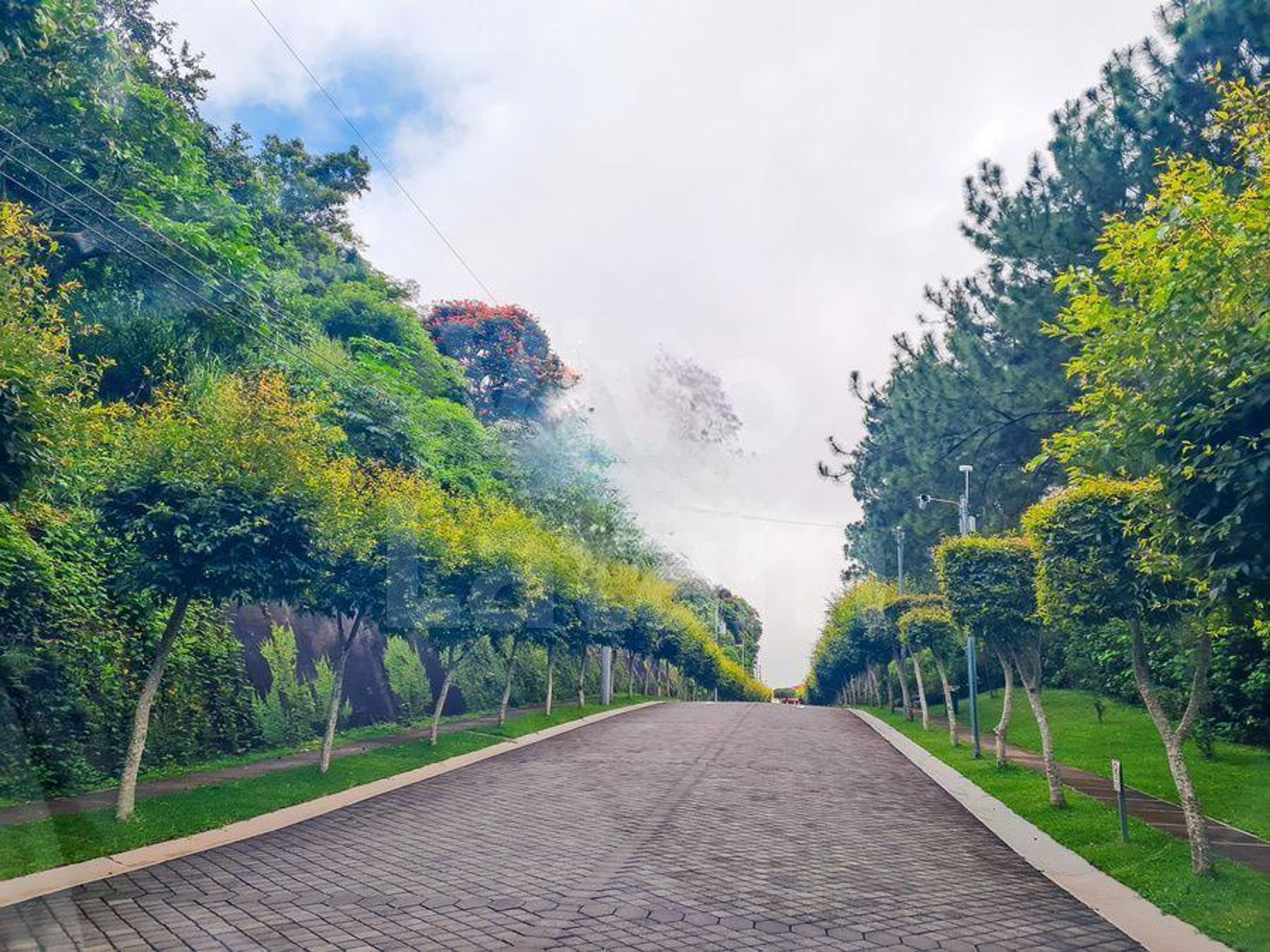 Terreno residencial en venta en Residencial Palmira