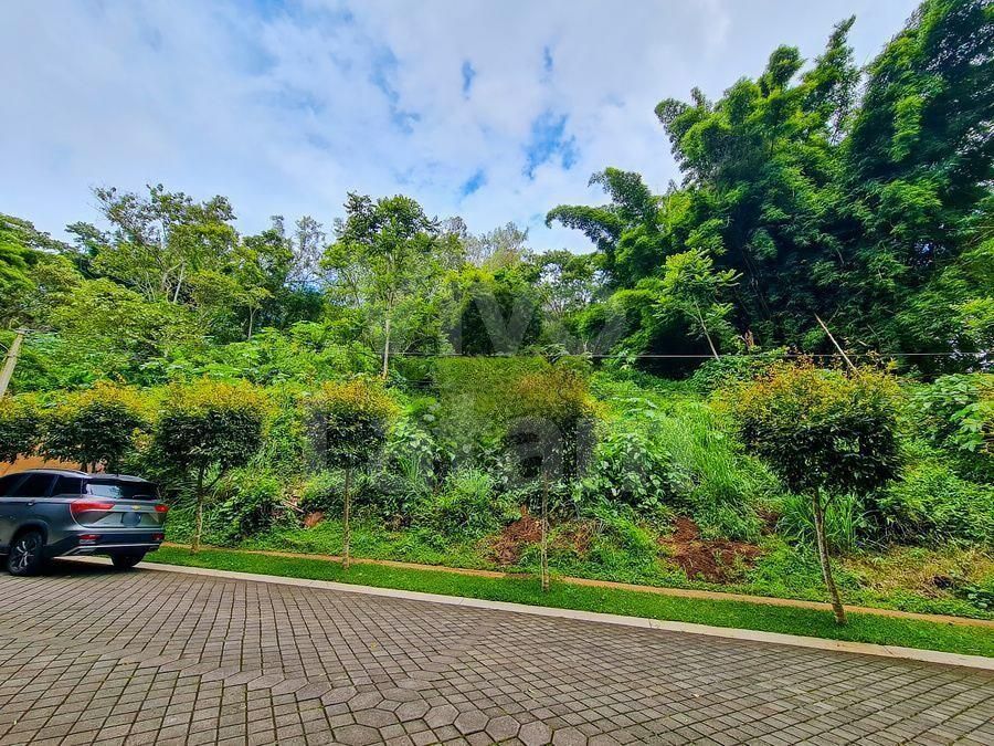 Terreno residencial en venta en Residencial Palmira