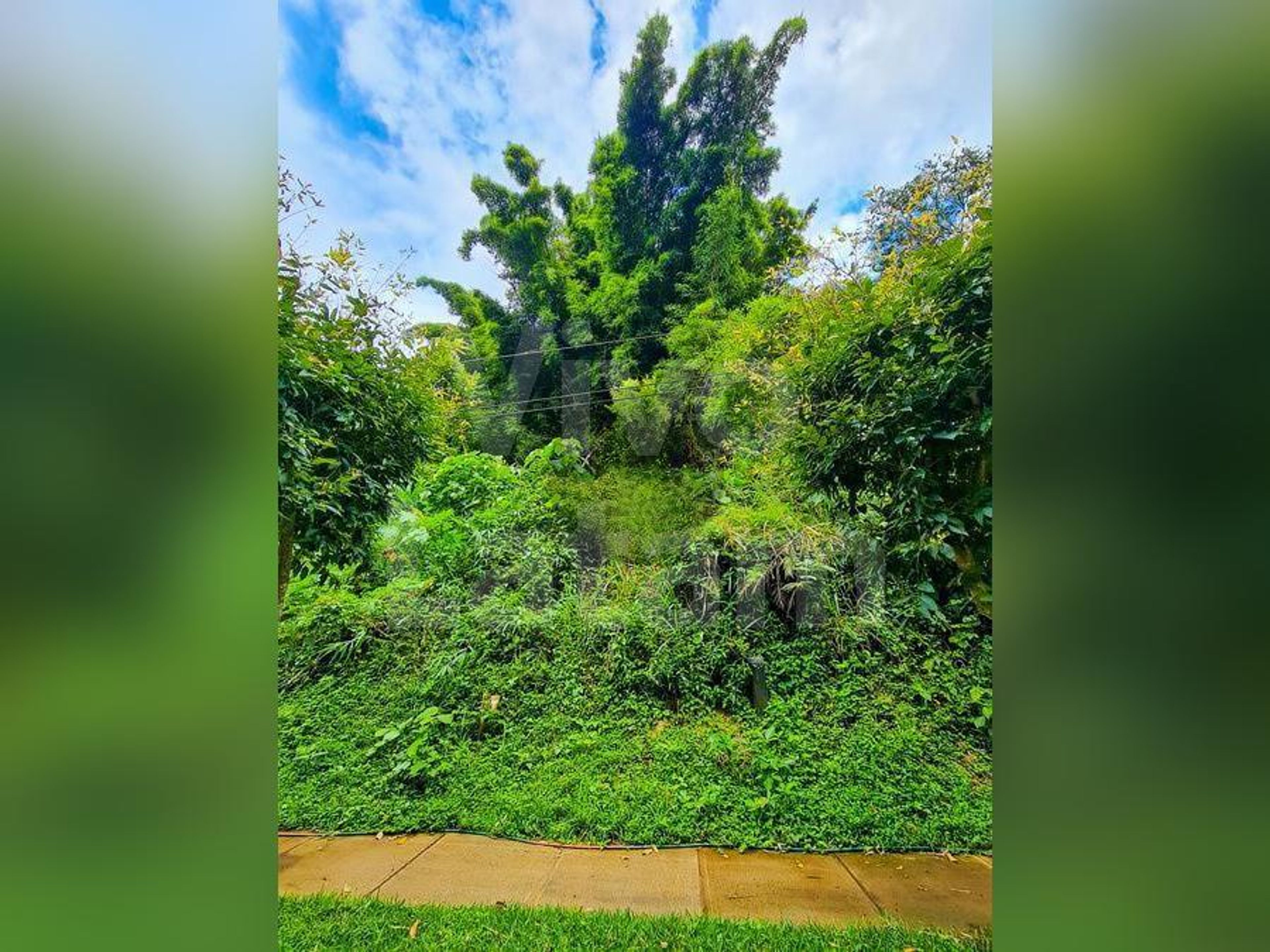 Terreno residencial en venta en Residencial Palmira