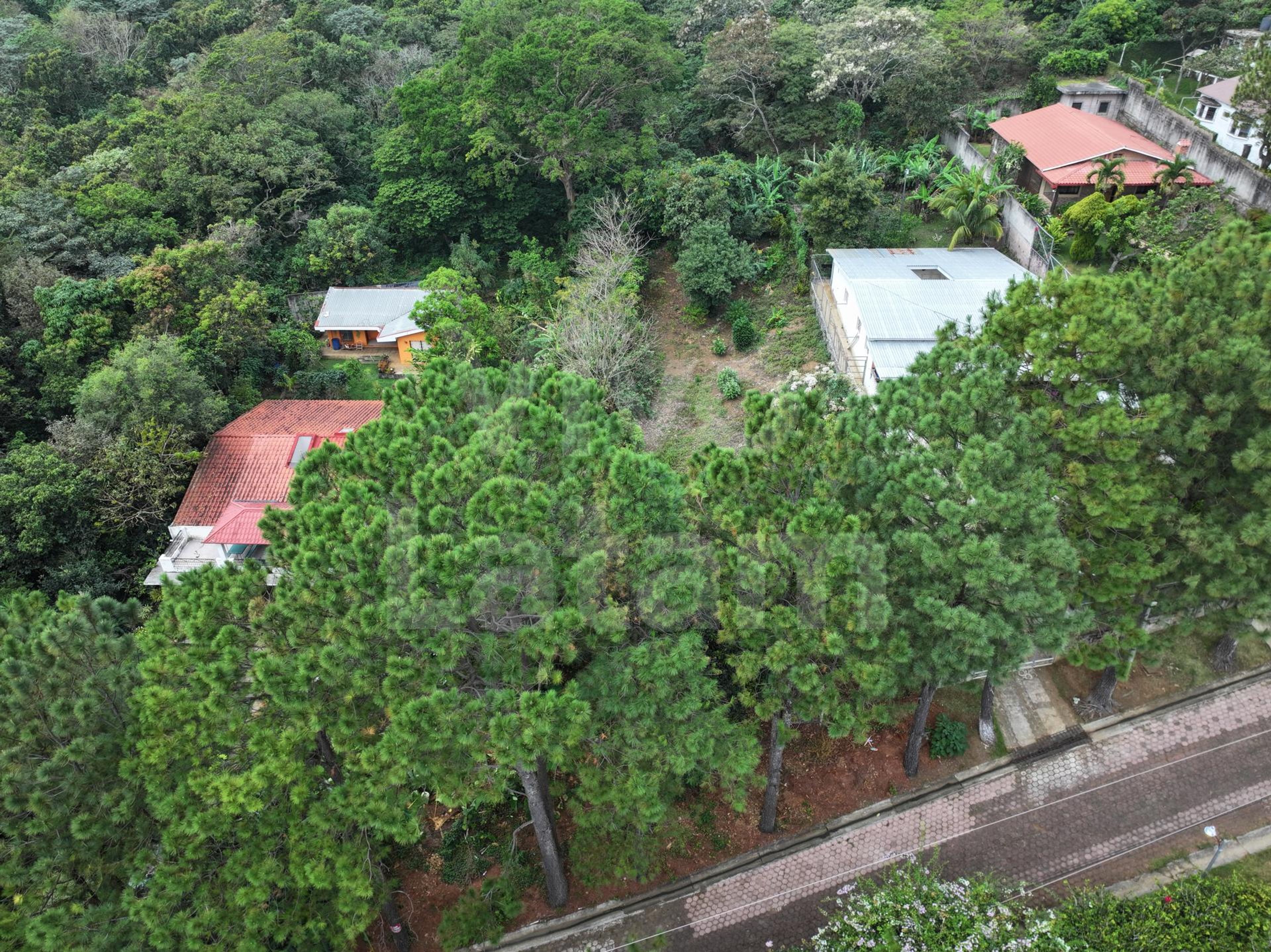 Lot for sale in Residencial Brisas del Pinar